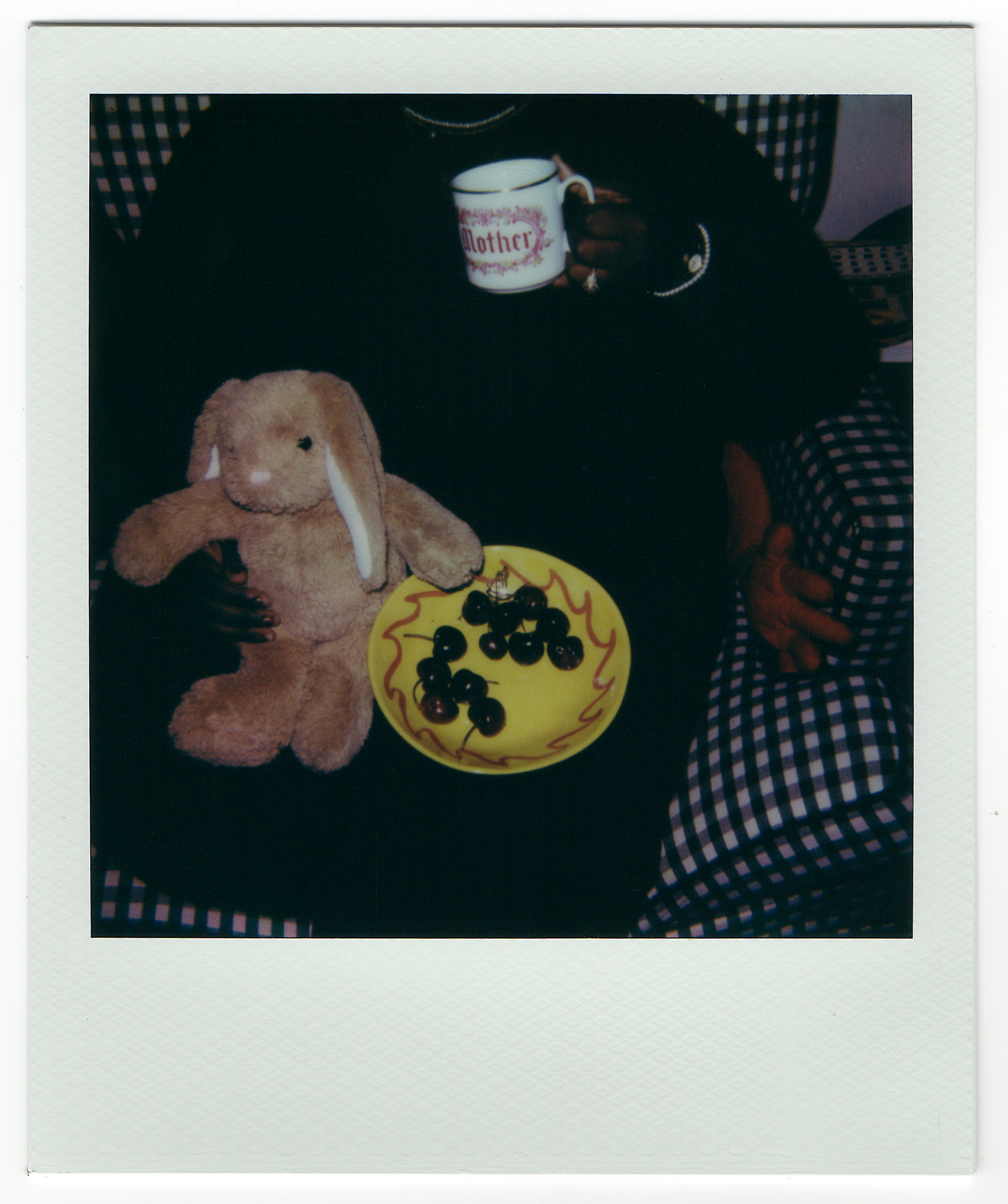 Cherries y Wine, 2025