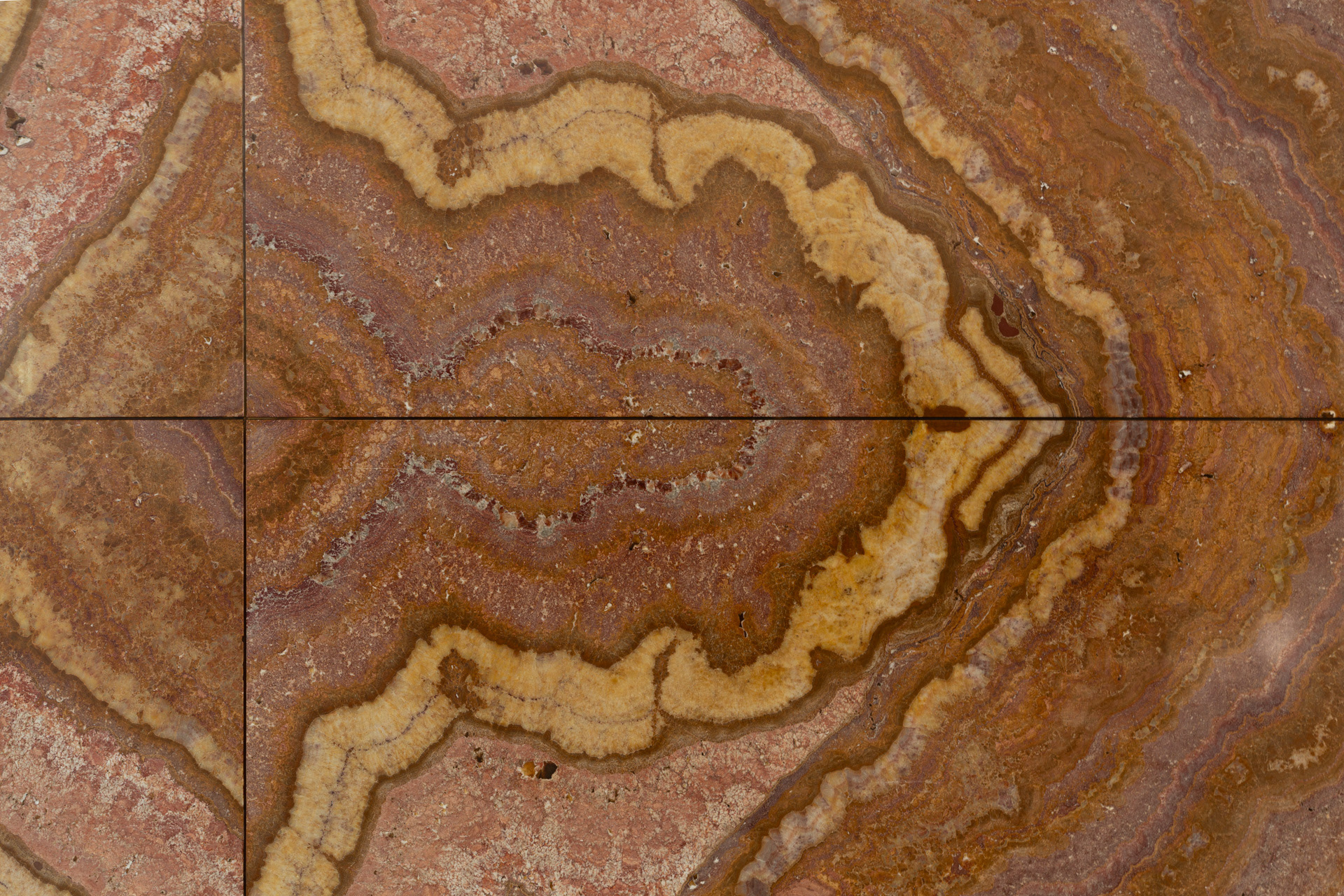 Pavelló Alemany de Barcelona | MVDR + Lilly Reich