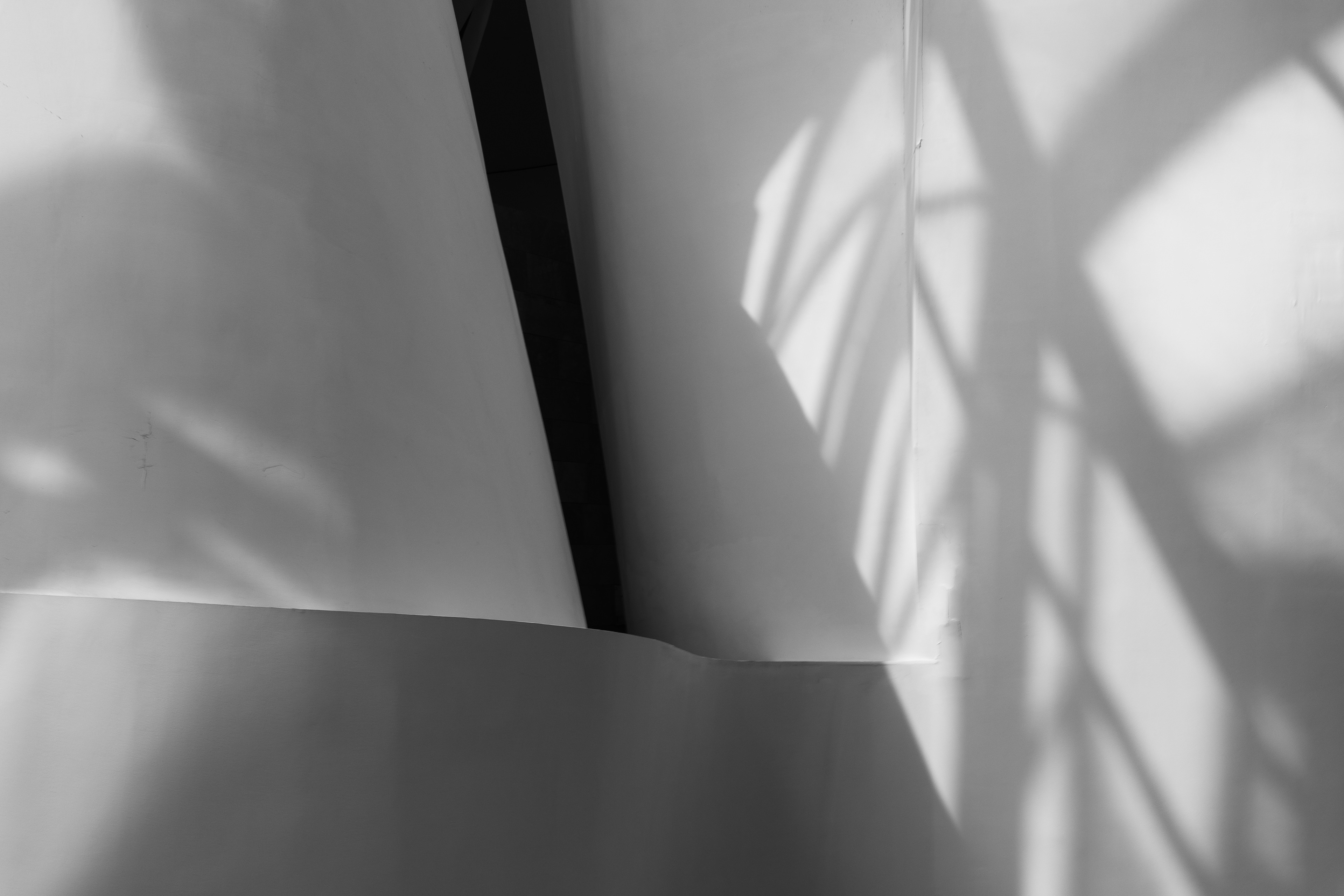 Guggenheim Bilbao Museoa 28-3-25