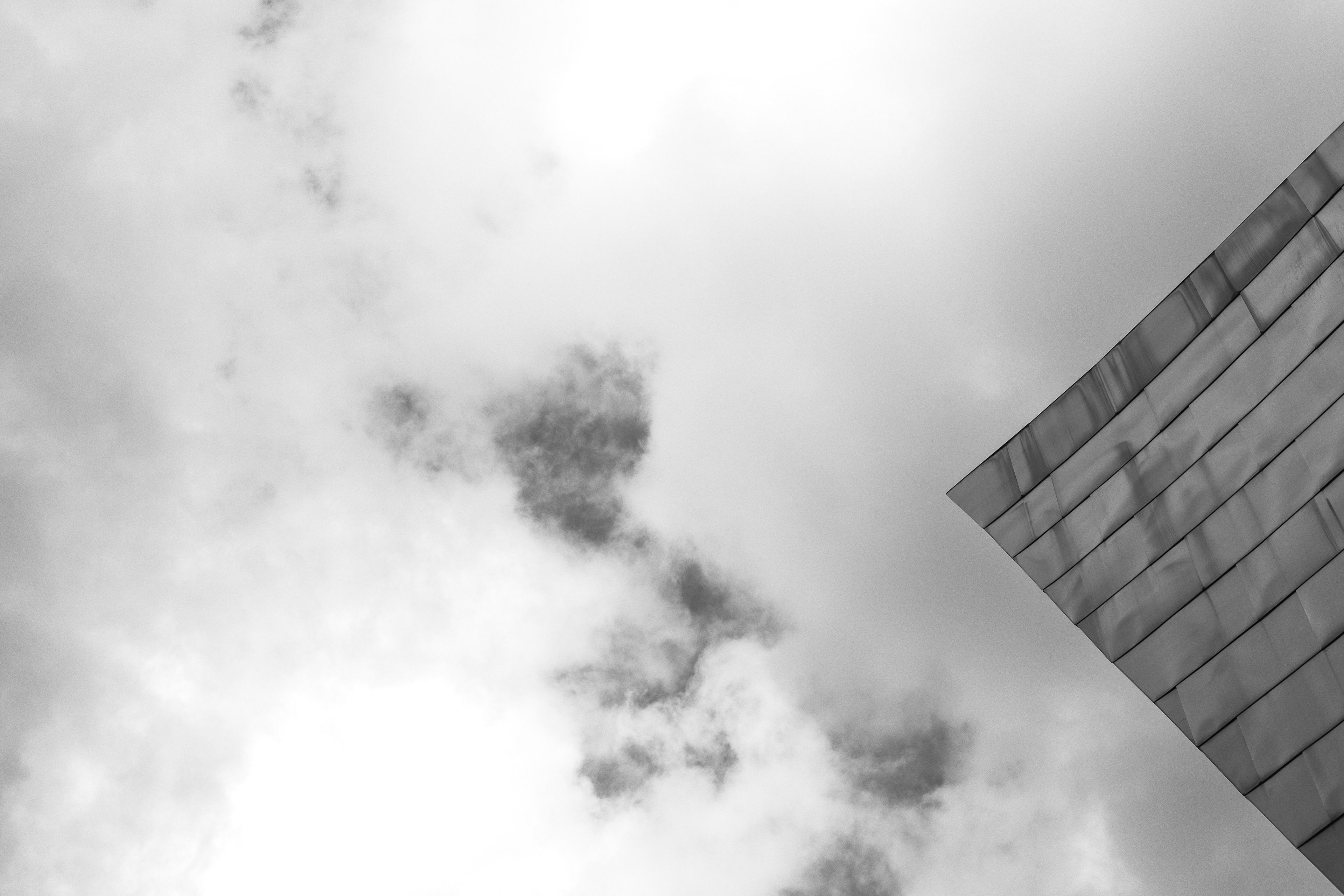 Guggenheim Bilbao Museoa 28-3-25