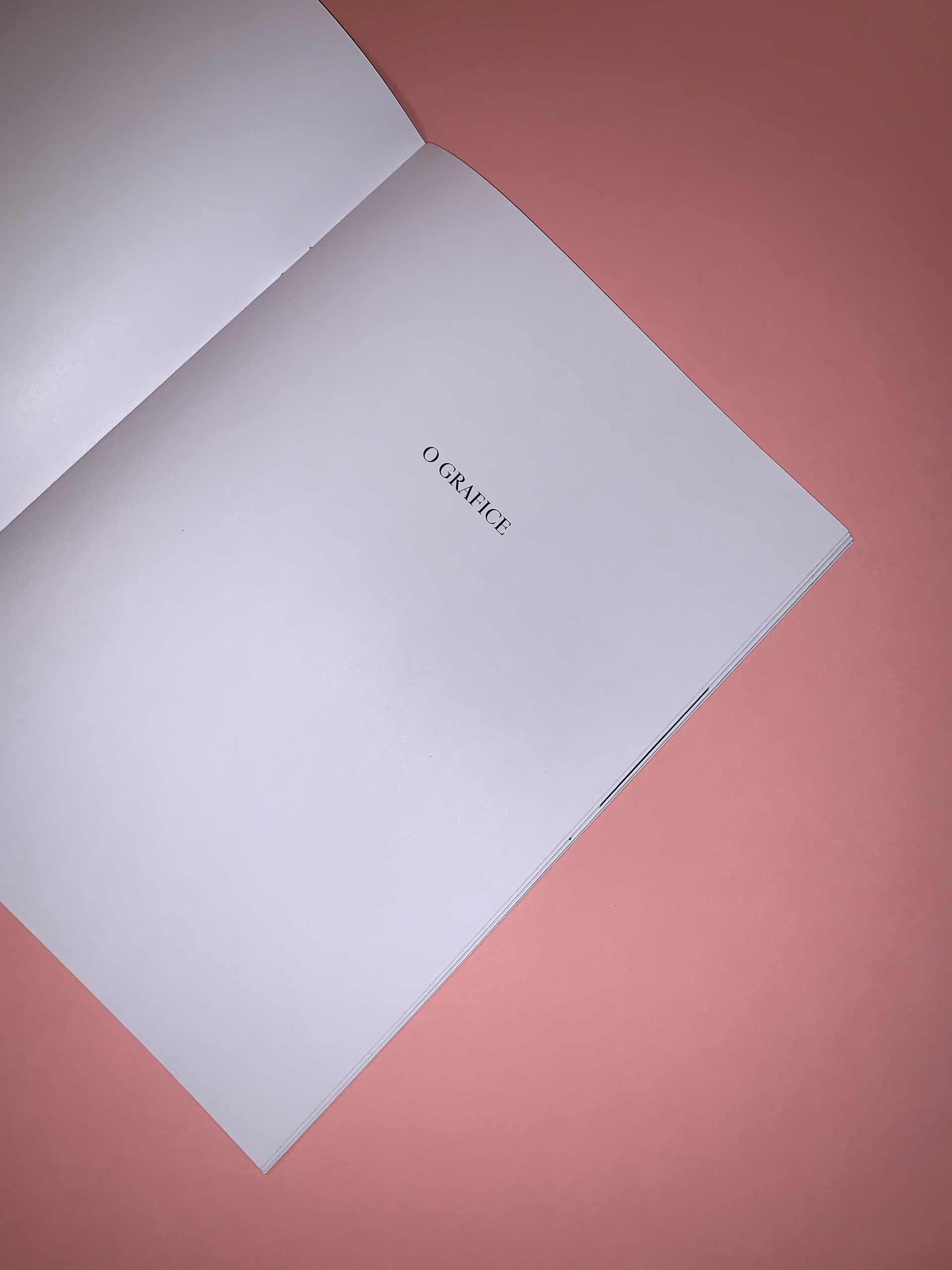 Zine - O Grafice