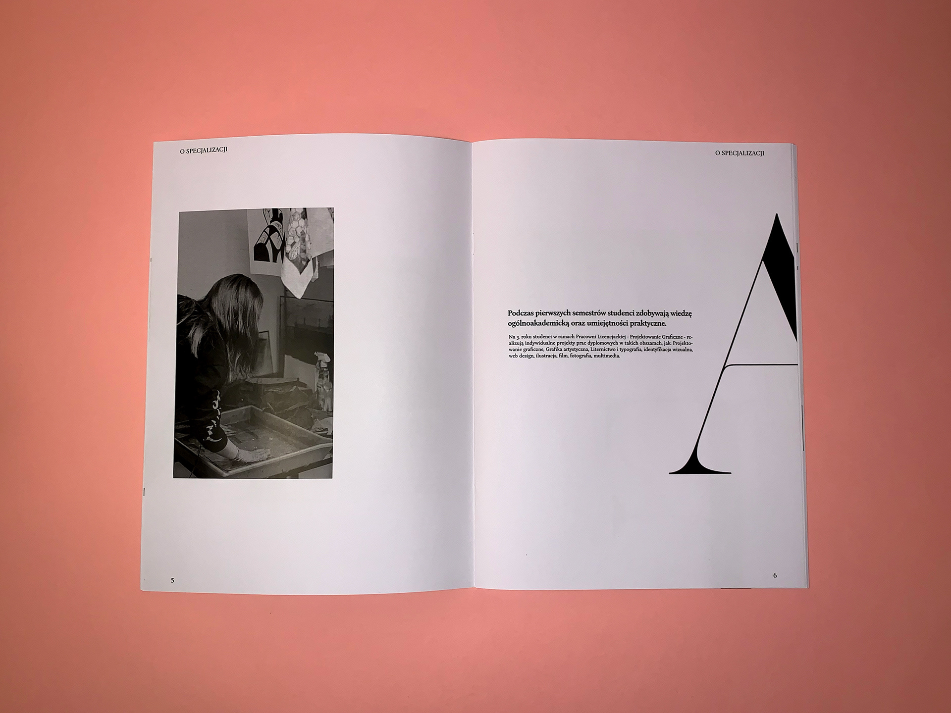 Zine - O Grafice