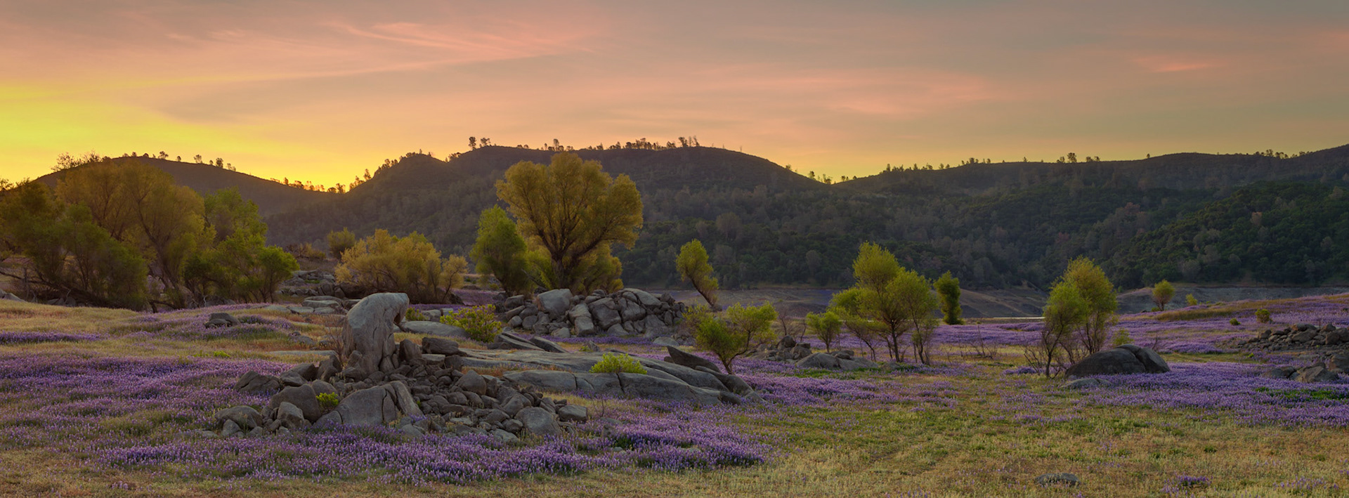 Warmth in a strange land - Folsom Lake 2021