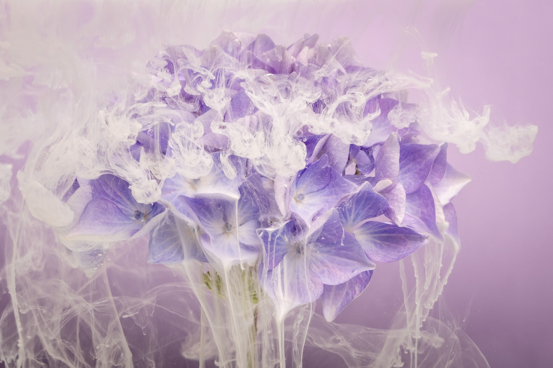 Submerged flowers