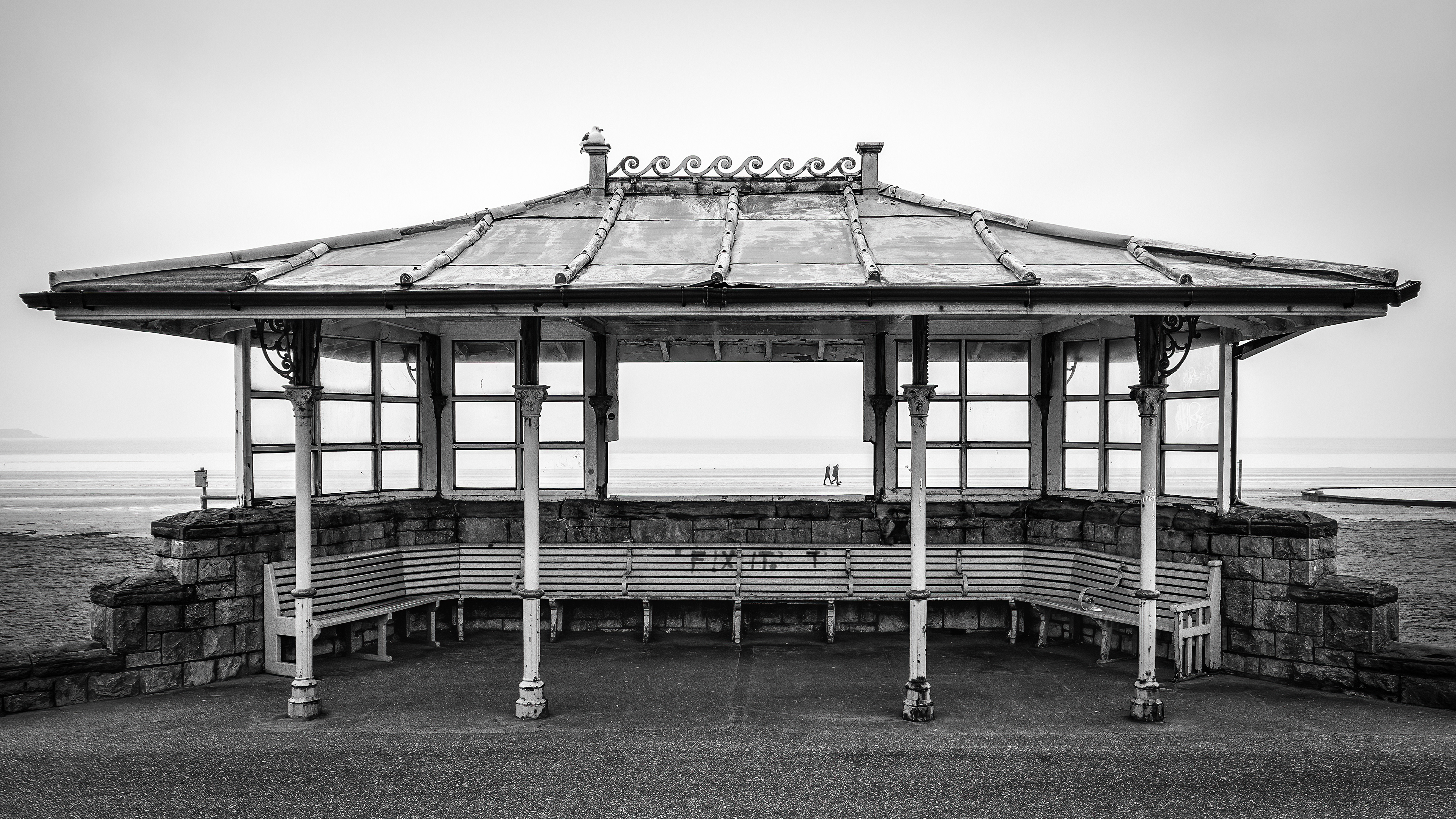 Shelter