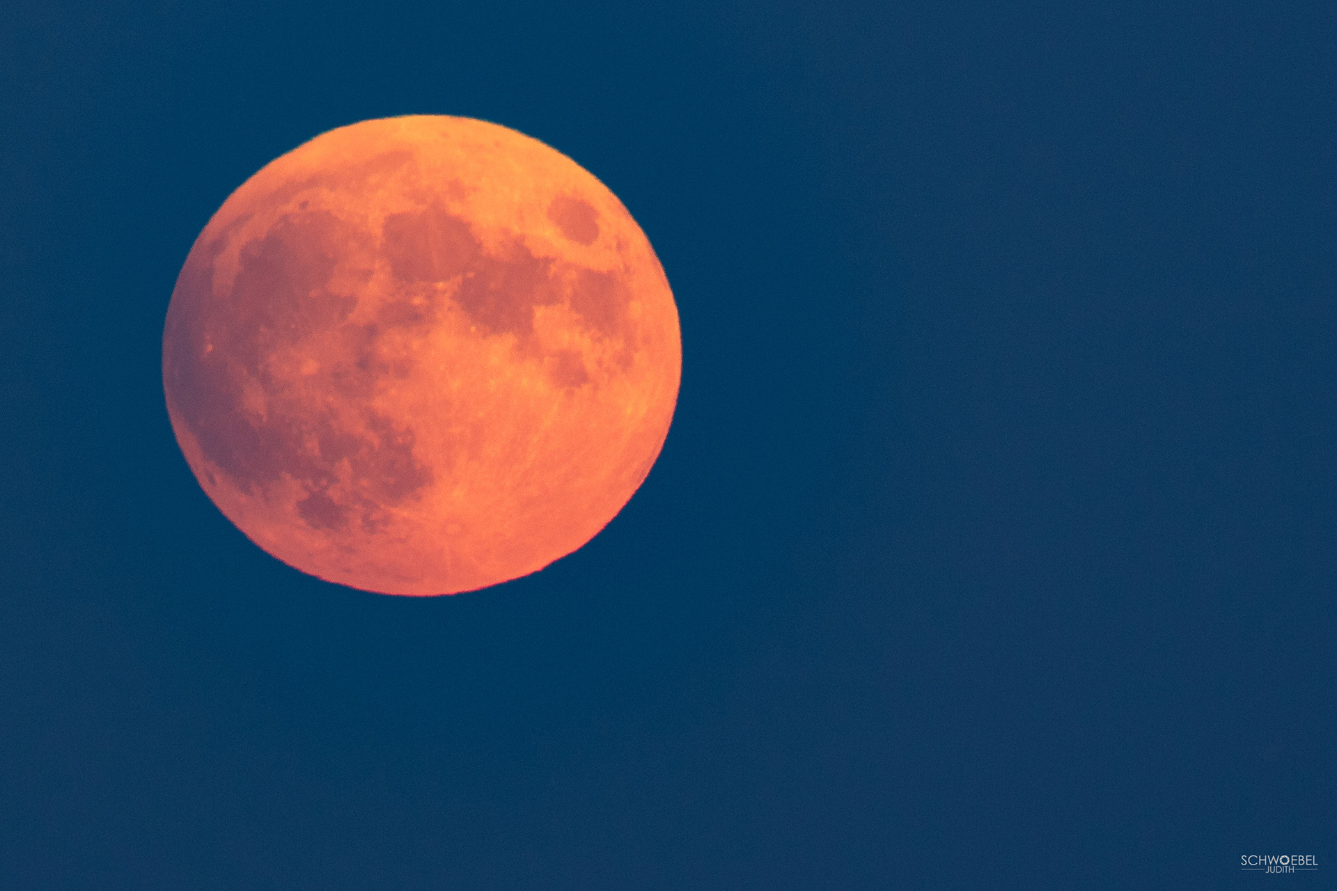 VOLLMOND