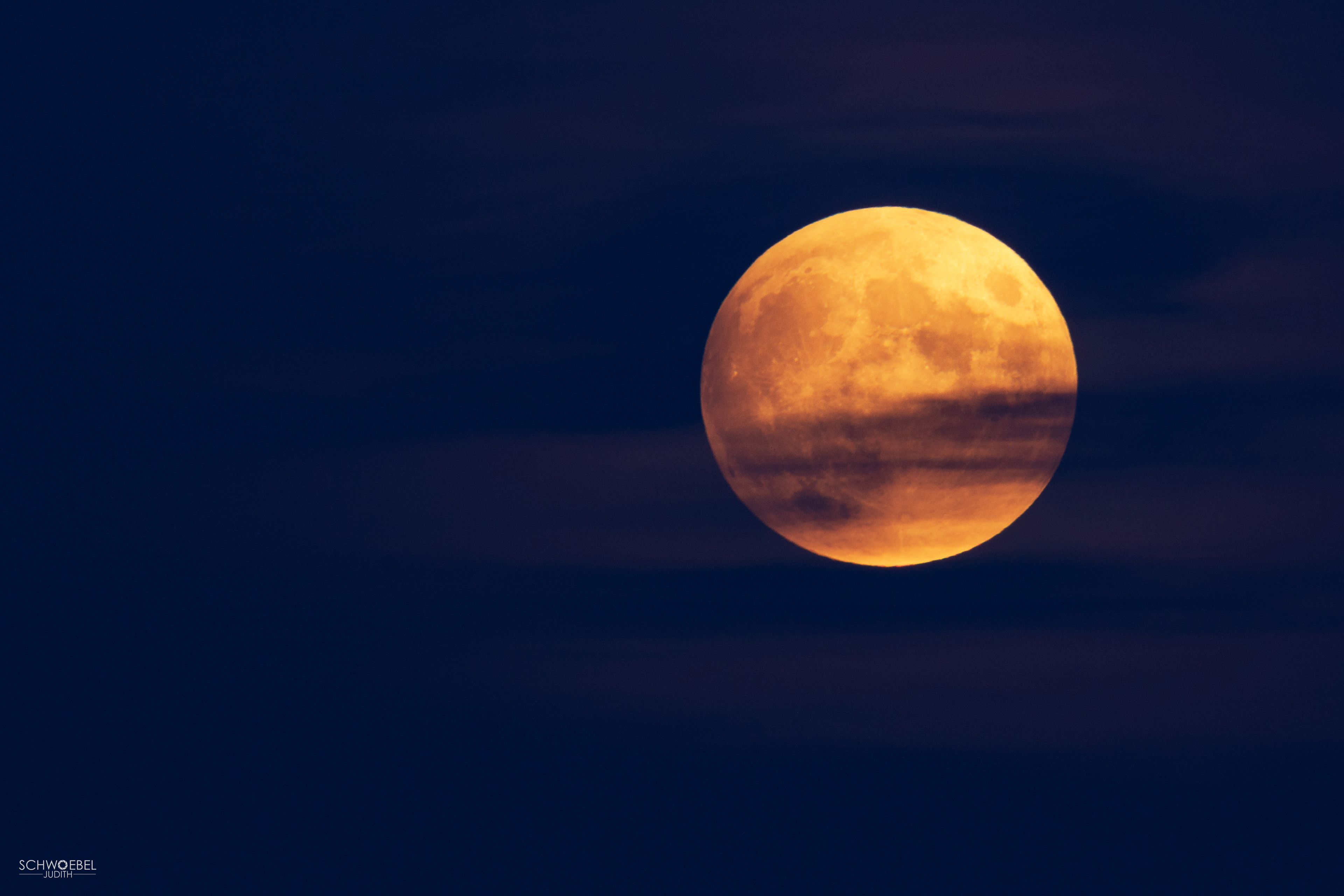 VOLLMOND