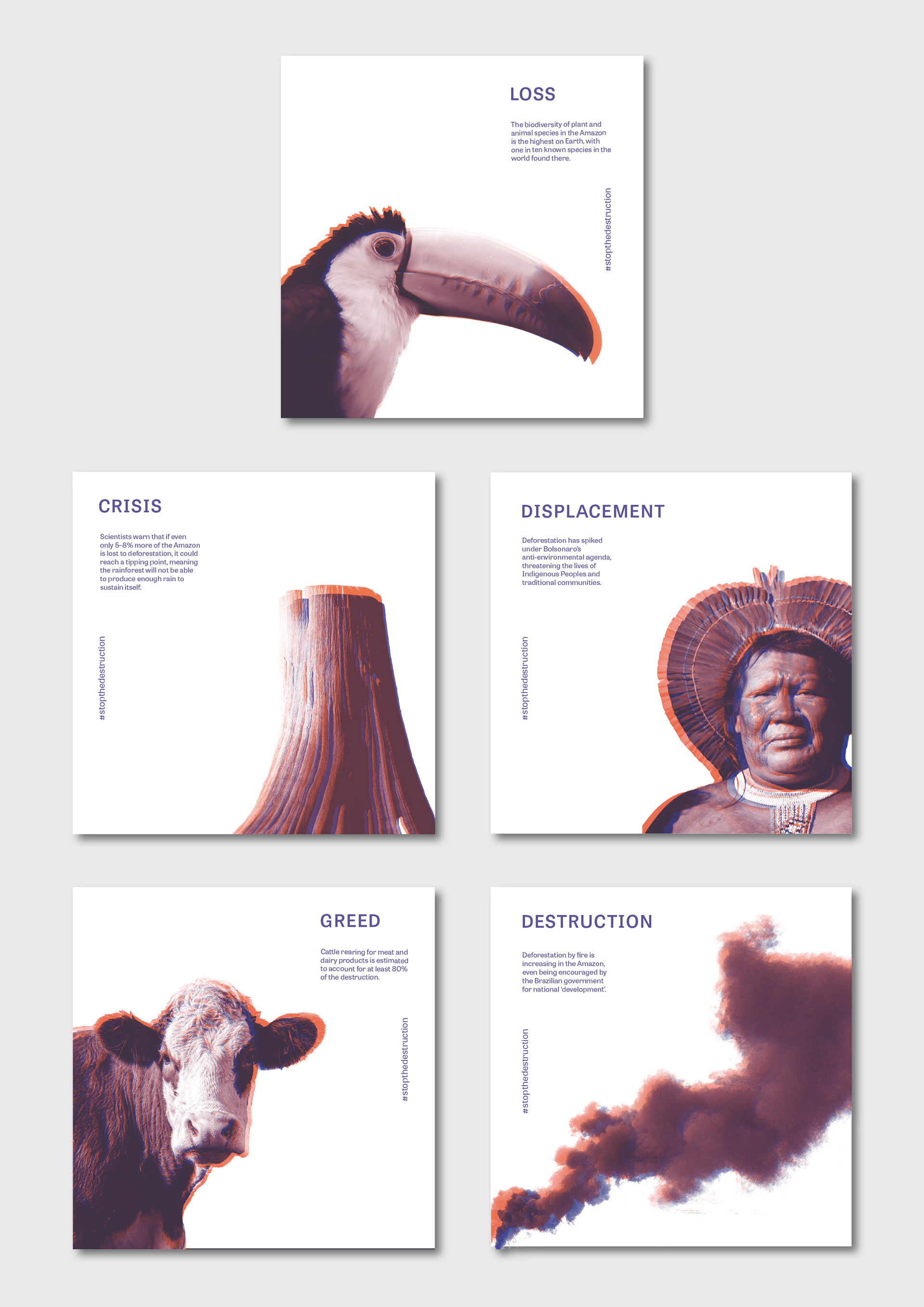 With a focus on visual language, I created a set of five cards to highlight the destruction of the Amazon Rainforest.