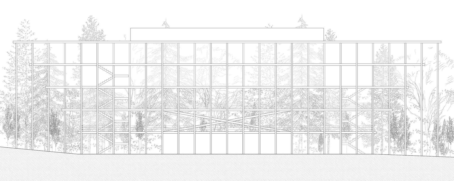 Partizan Architecture - Multifunctional Hall