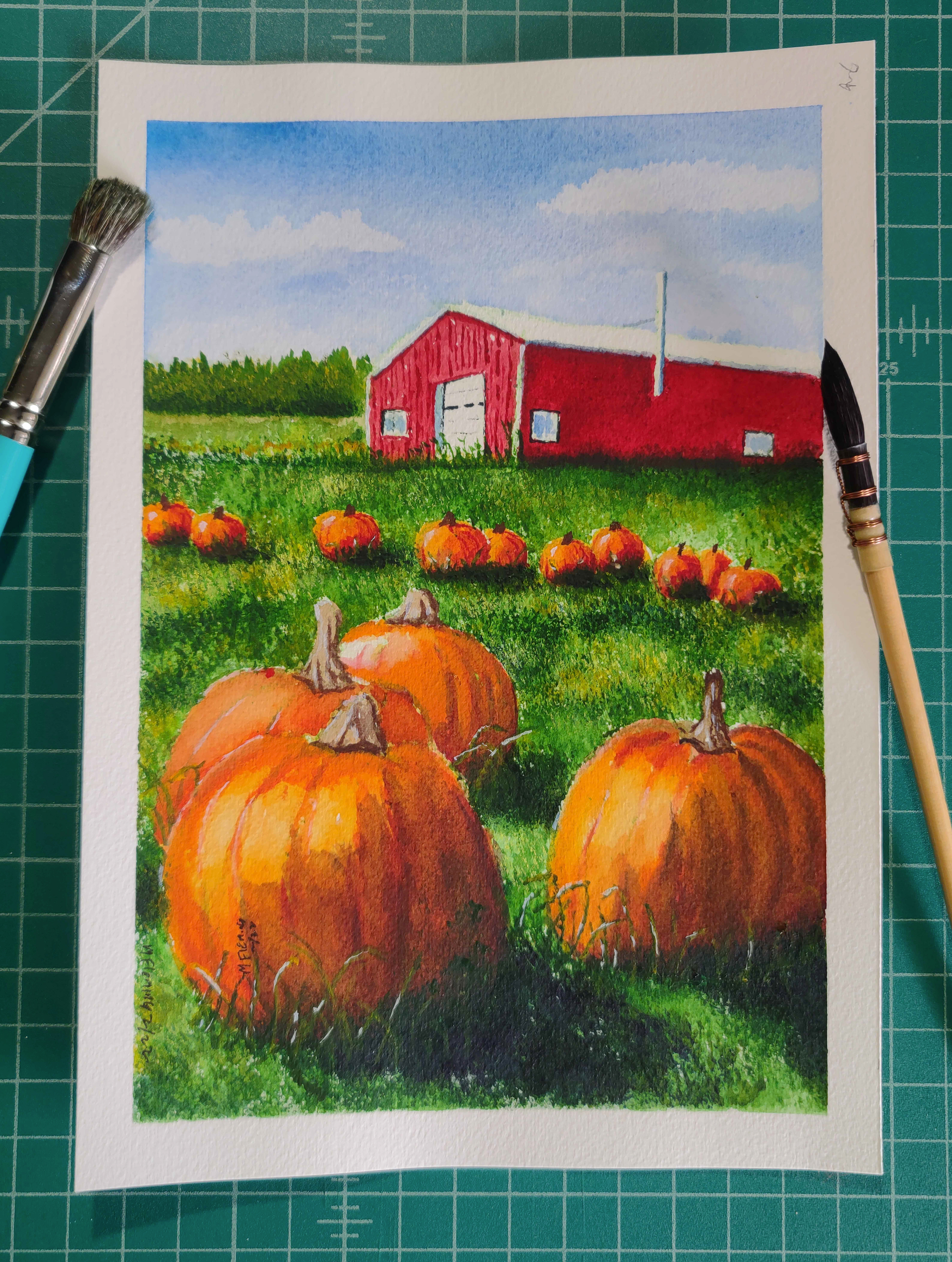 Upstate NY Pumpkin Picking