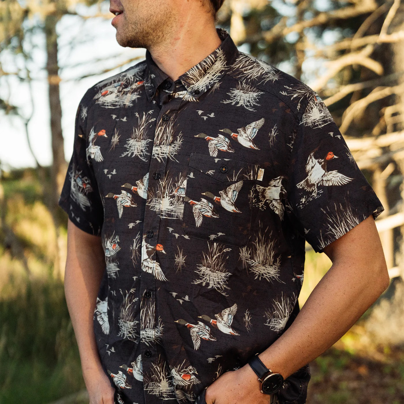 Art direction was provided for Dawsonian Design who executed the illustration