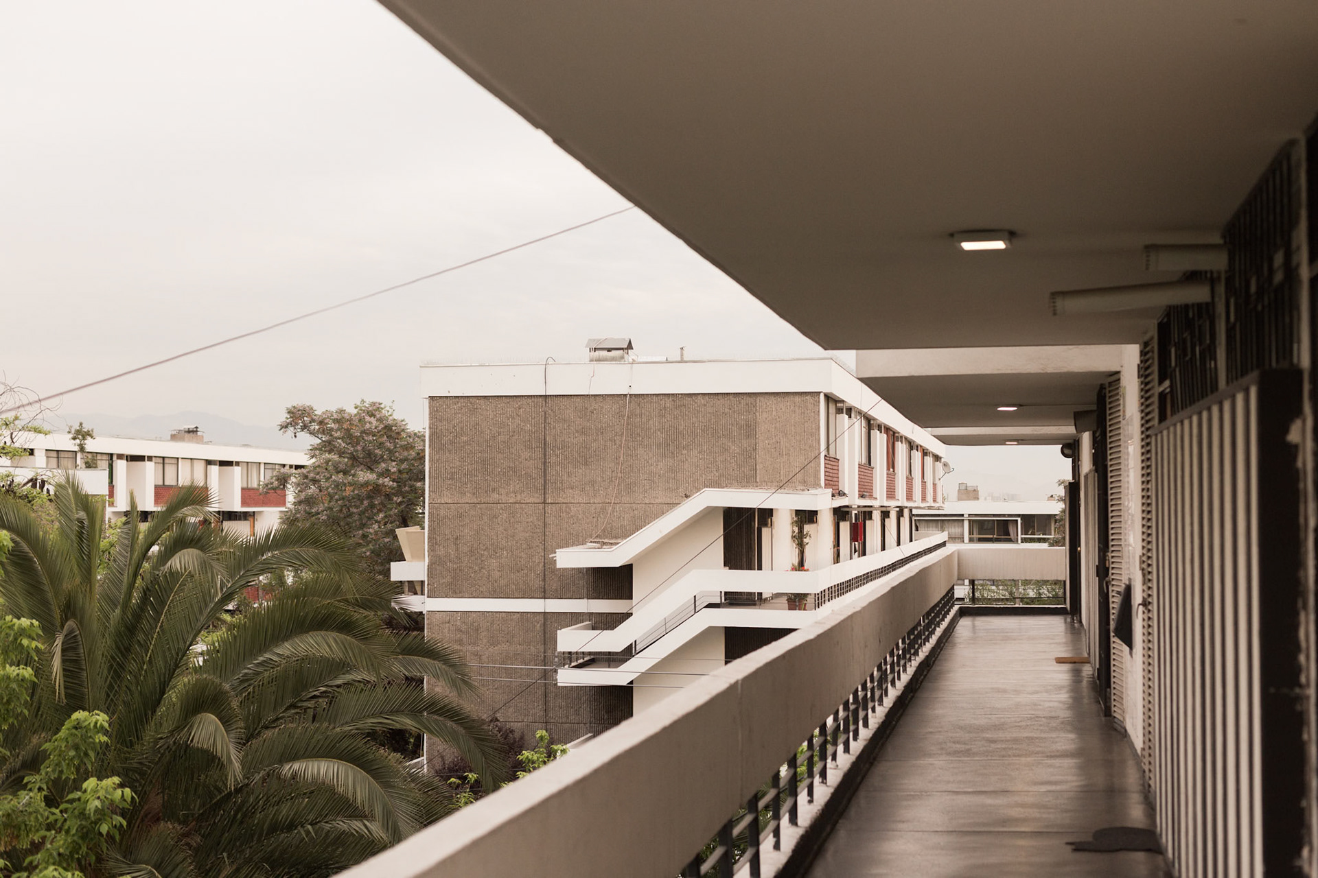 Tamaño 60 x 40 cm. Desde $90.000