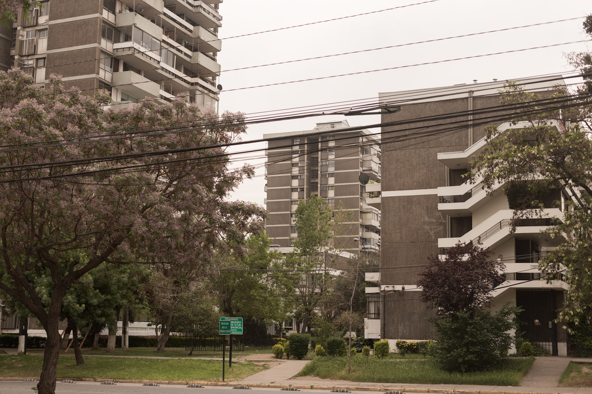 Tamaño 60 x 40 cm. Desde $90.000