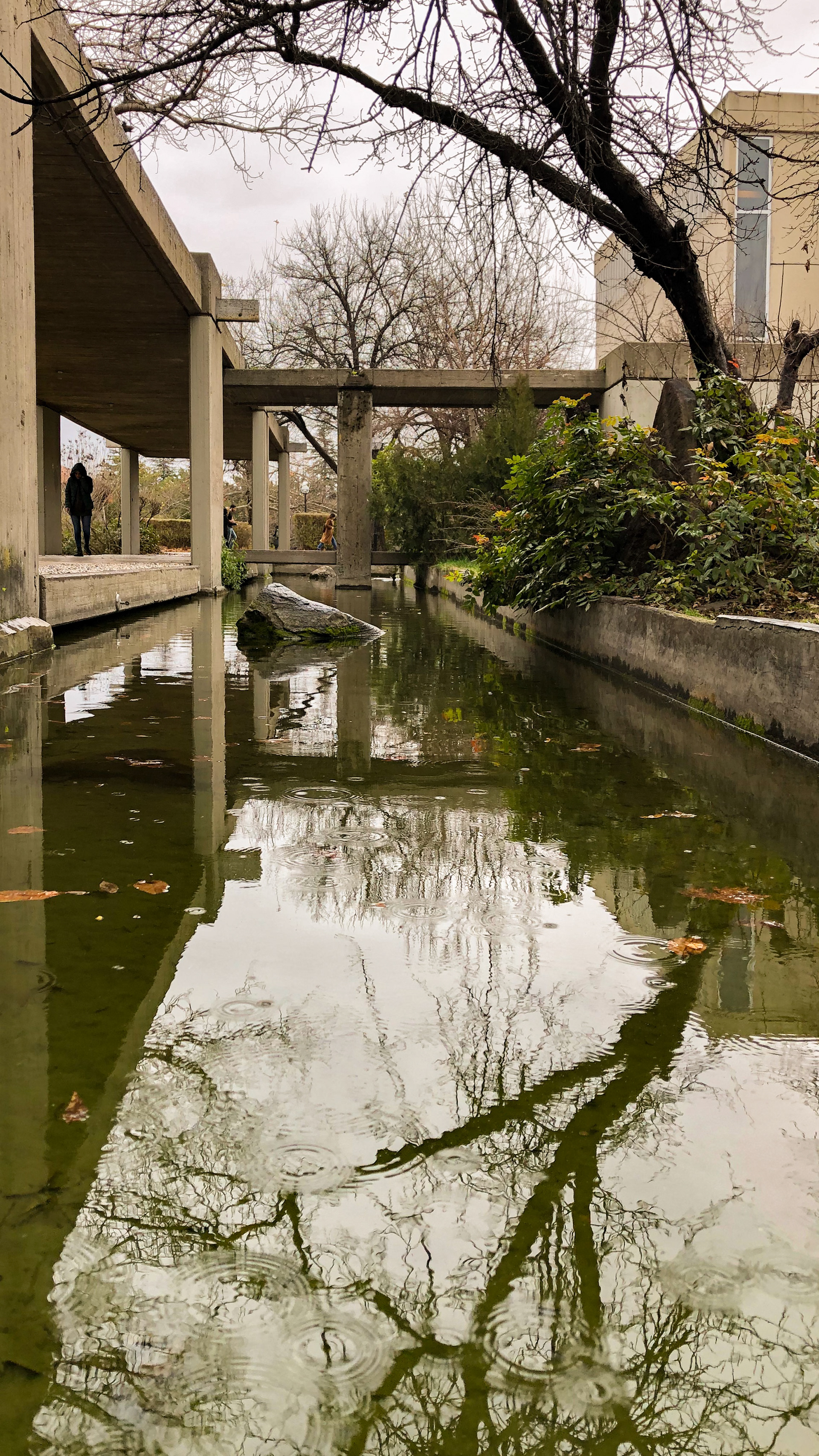 Middle East Technical University, Faculty of Architecture, January 2019