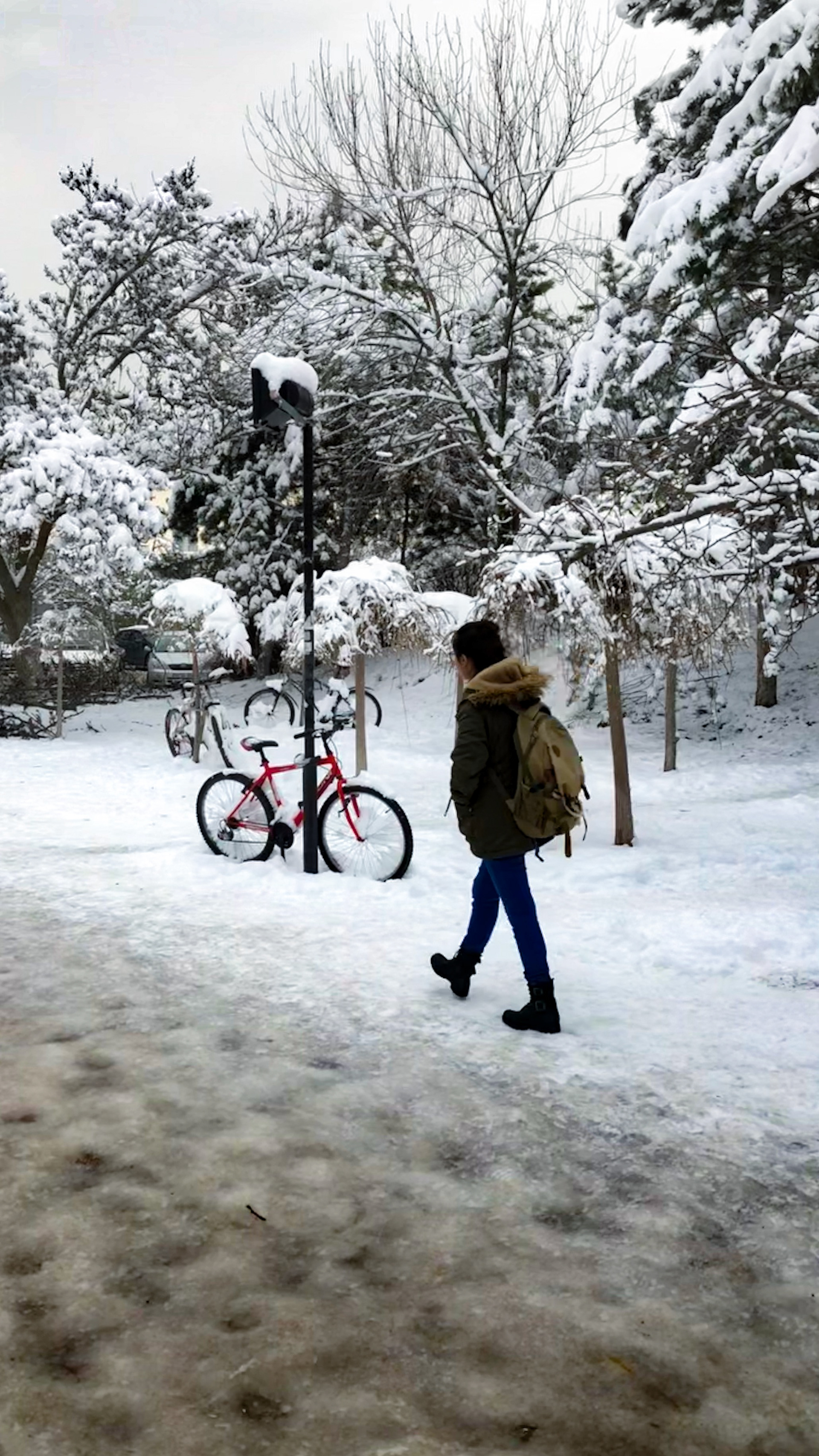 Middle East Technical University, January 2019