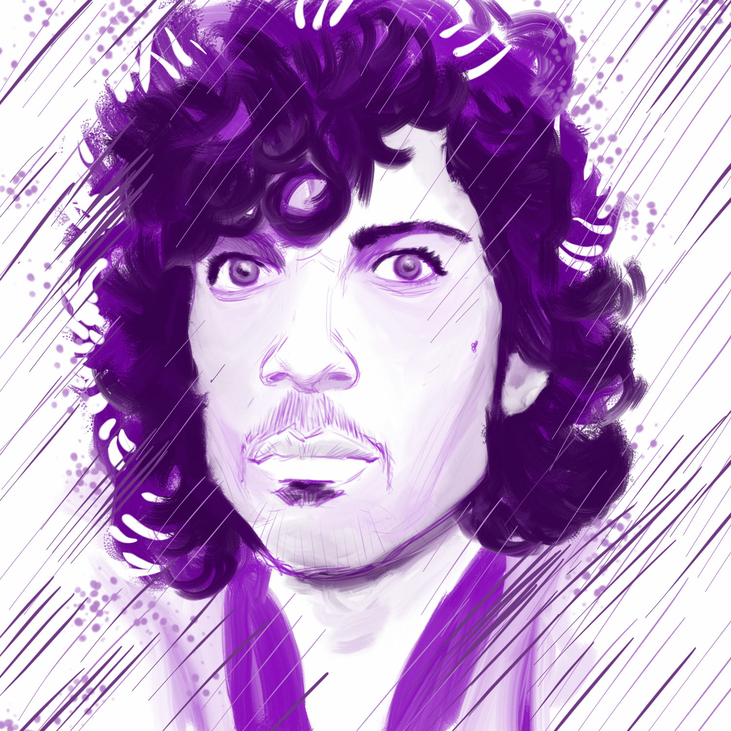 Prince Tribute
