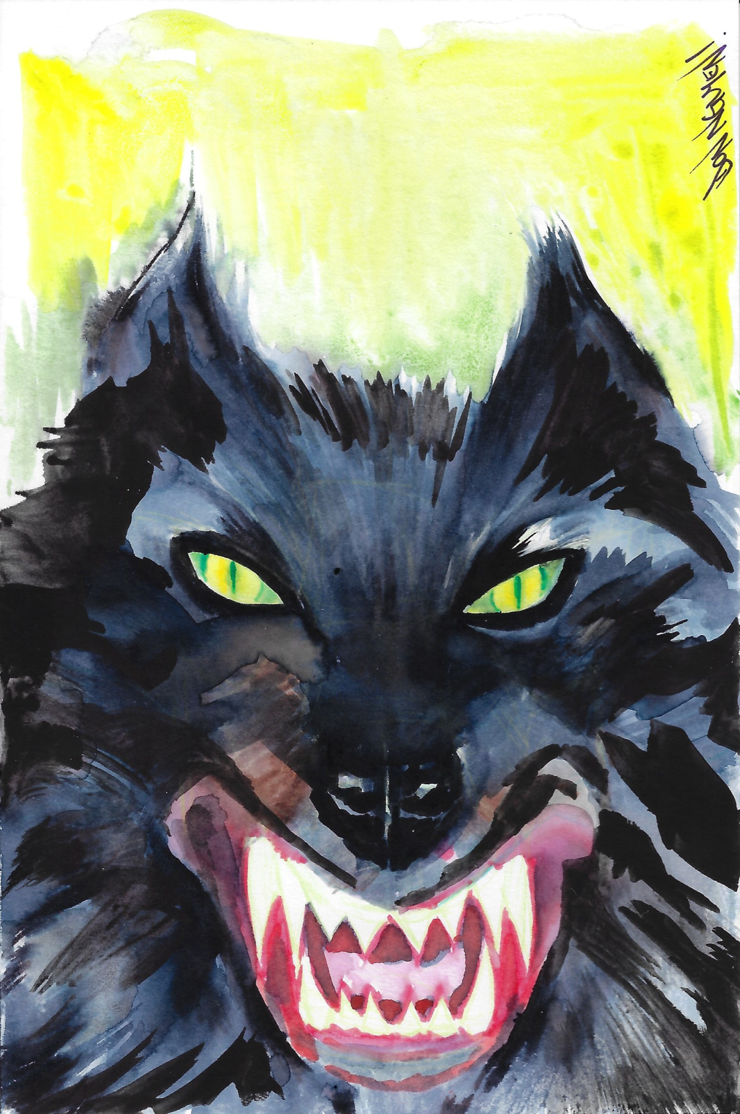 Gmork for DCDCollects