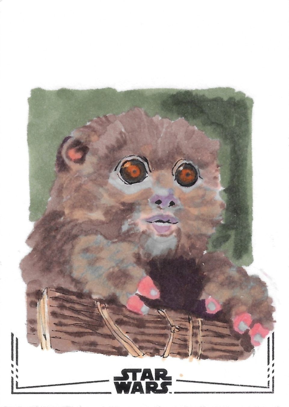 Ewok Cub