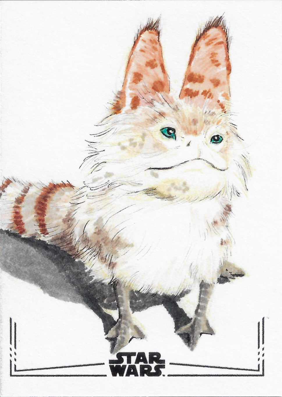 Lothal Cat
