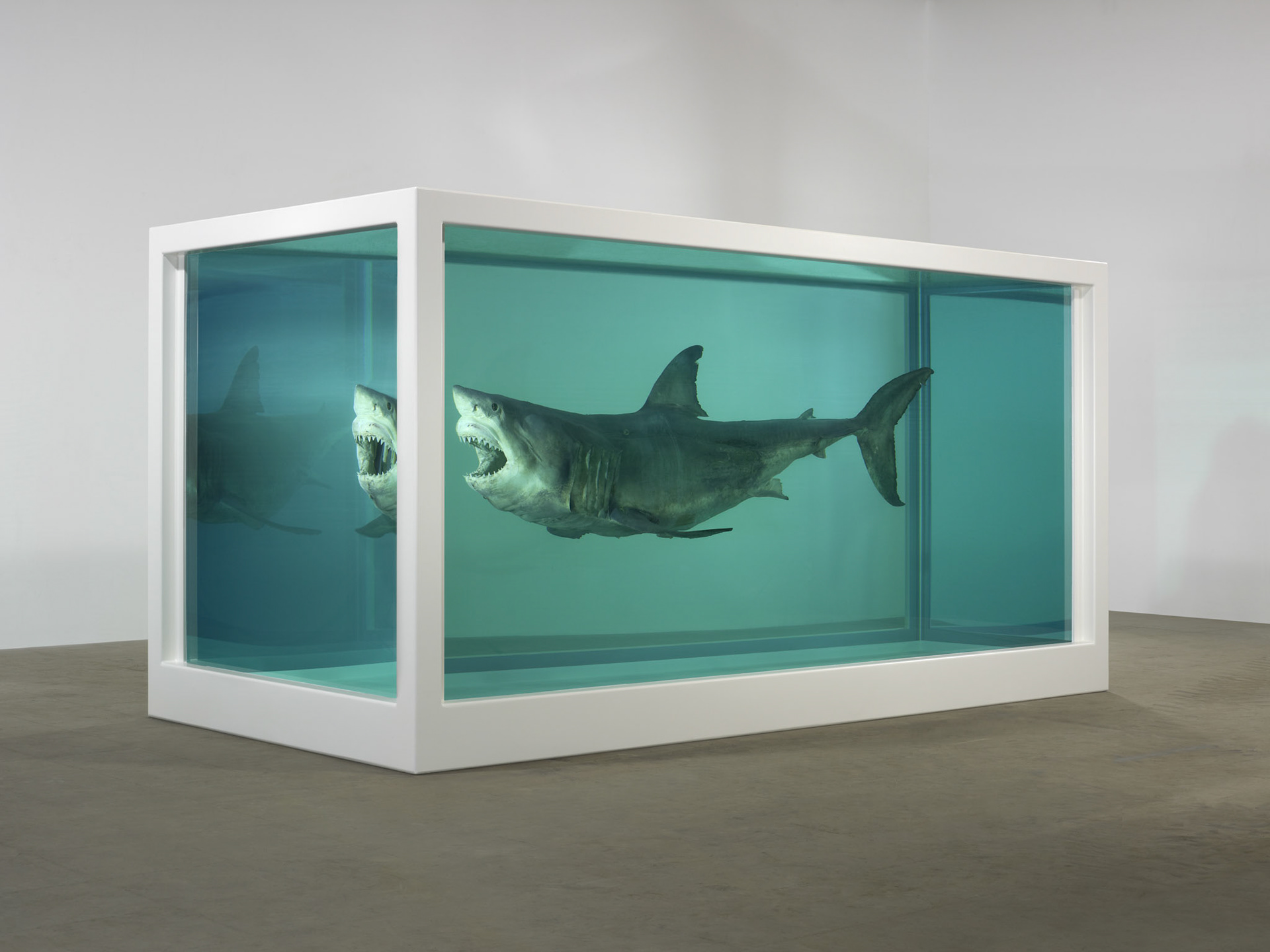 Damien Hirst, The Physical Impossibility of Death in the Mind of Someone Living (1991) Tiger shark, glass, steel, 5% formaldehyde solution, 213 x 518 x 213