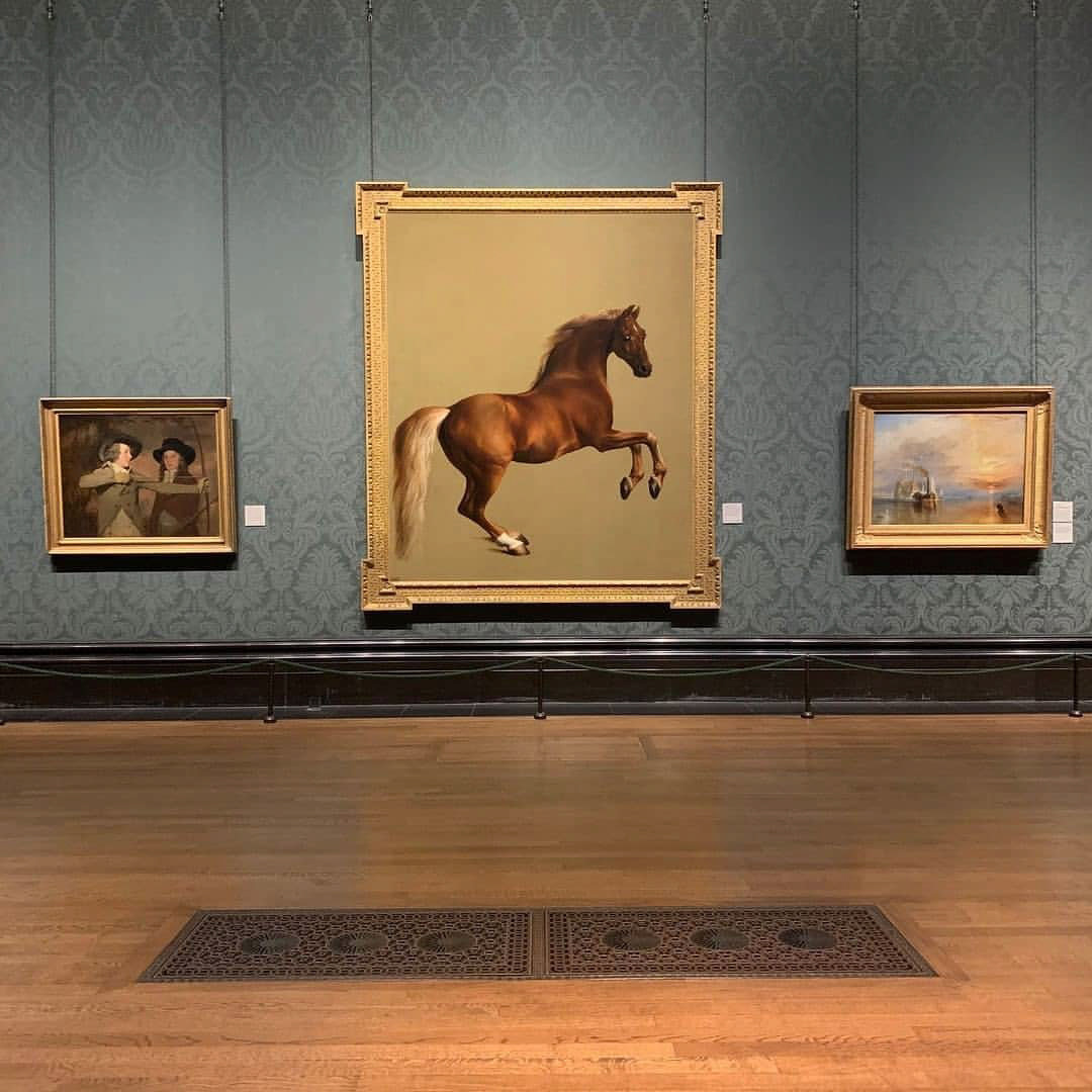 Whistlejacket at the National Gallery