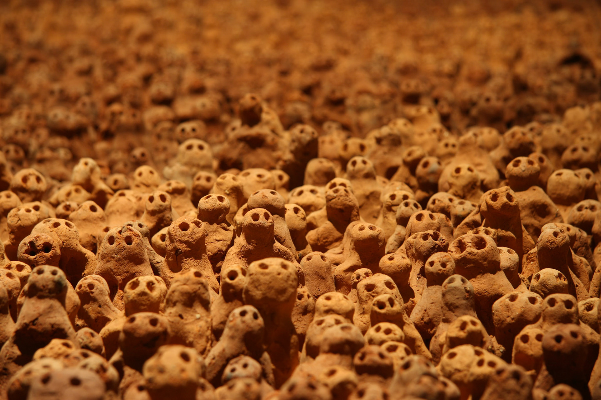 Antony Gormley, Field (1989-2003)