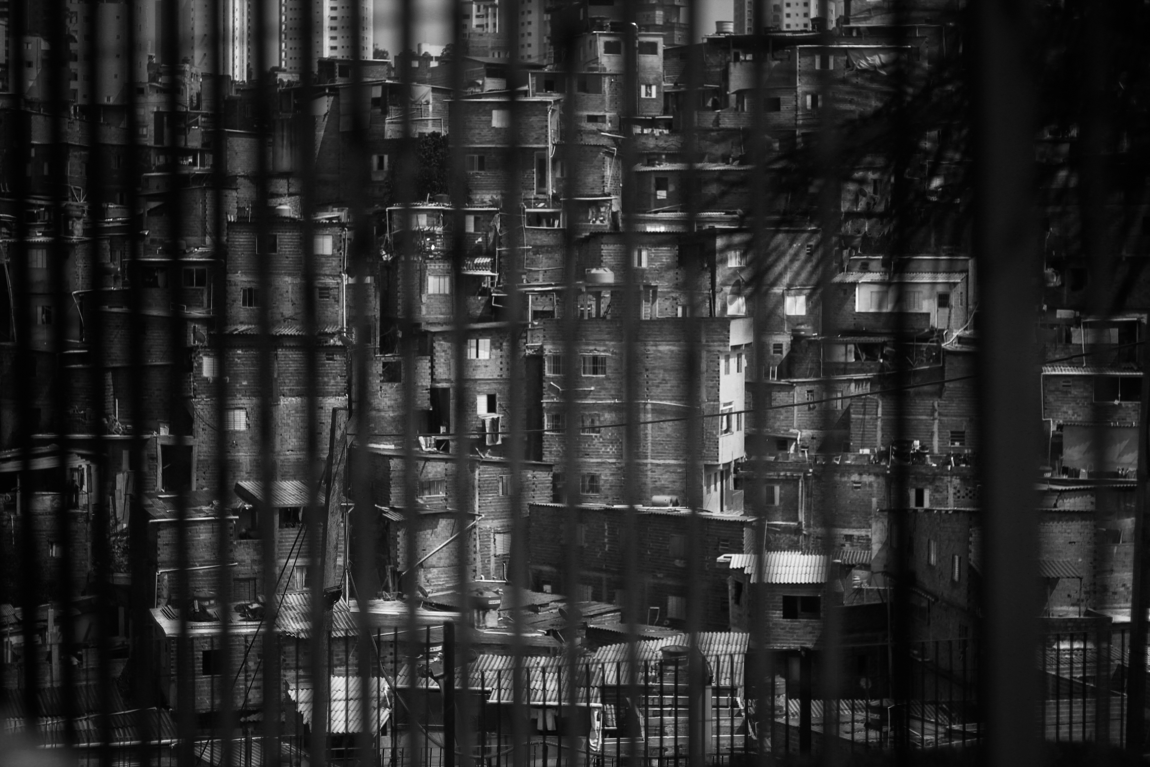 Luan Gomes | Luangomesft