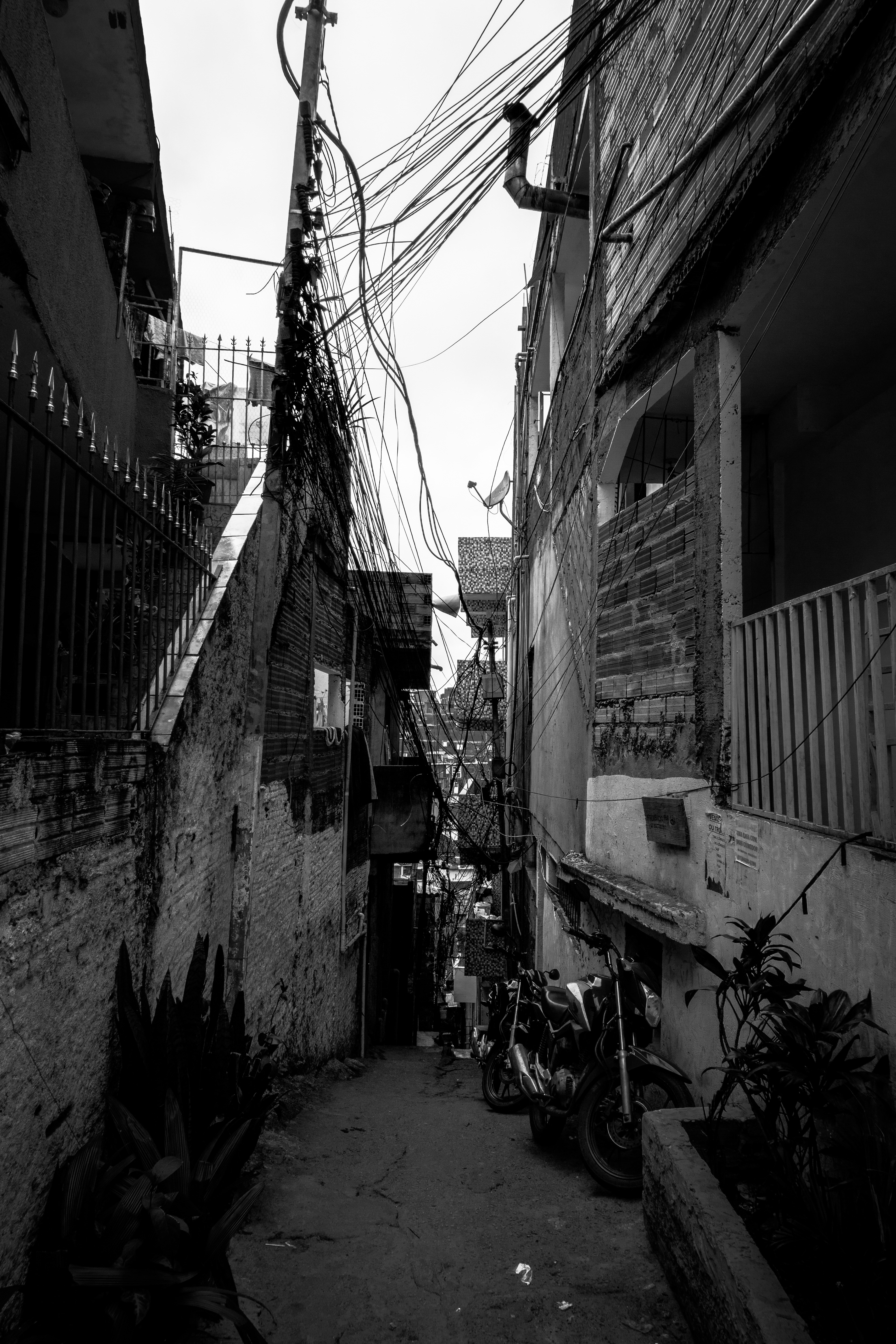 Ana Júlia | Eaflame_