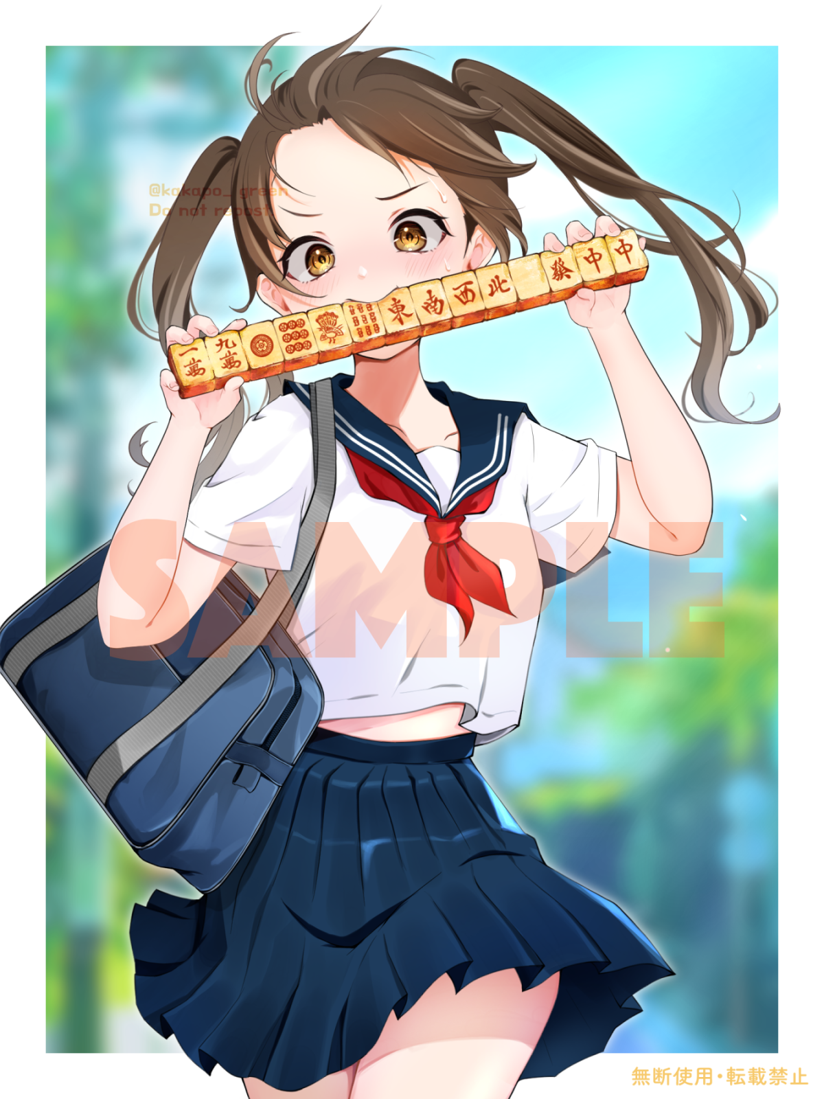 一枚絵(国士)