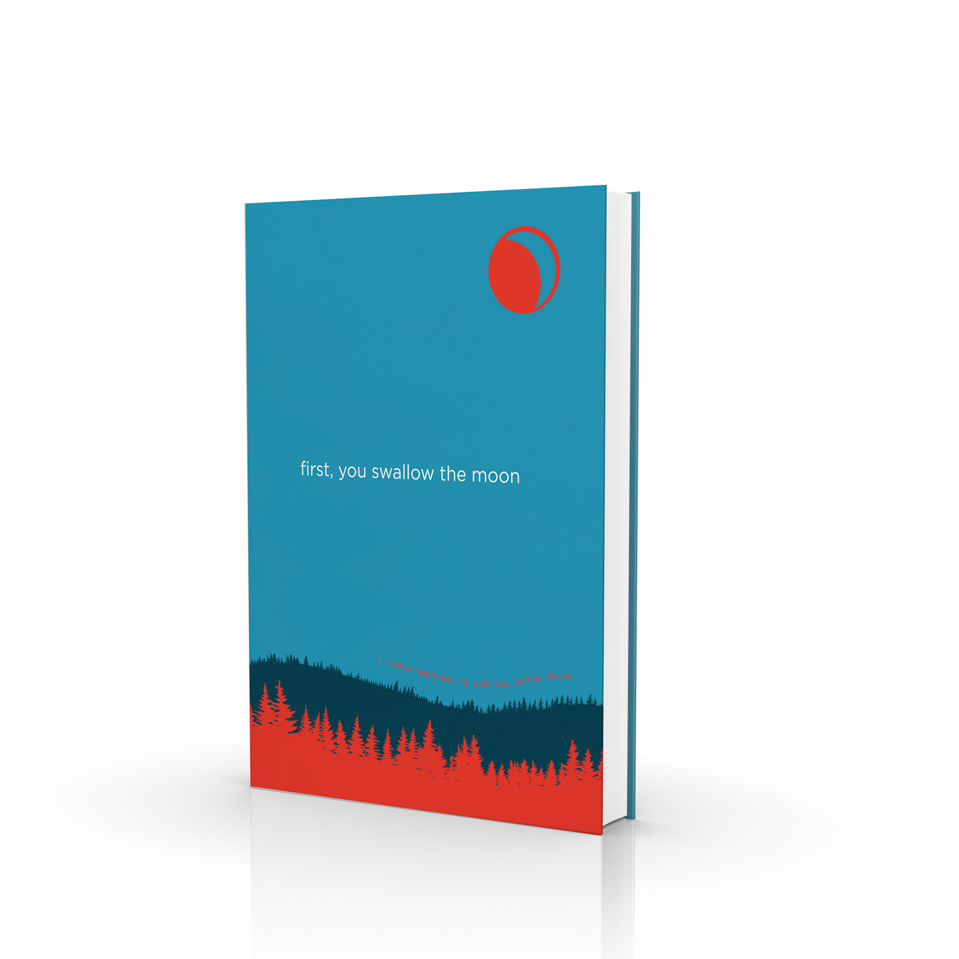 Novel cover