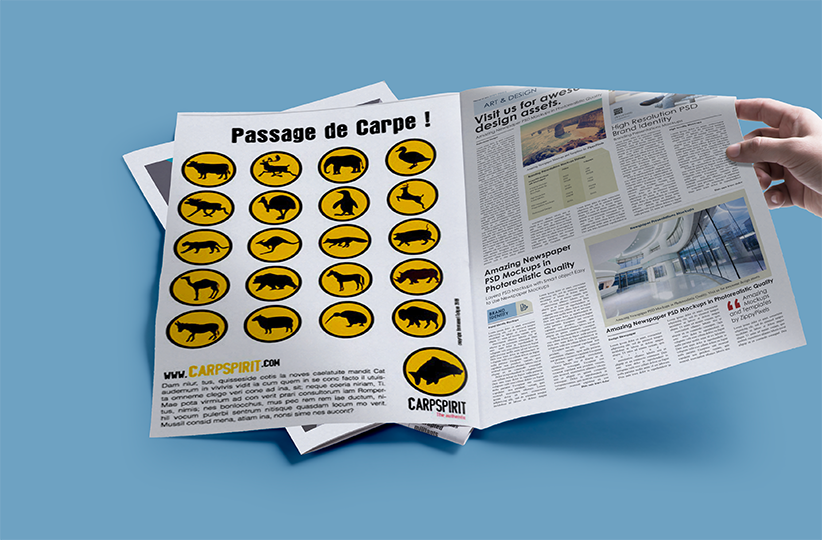 CARP SPIRIT : Création conception rédaction