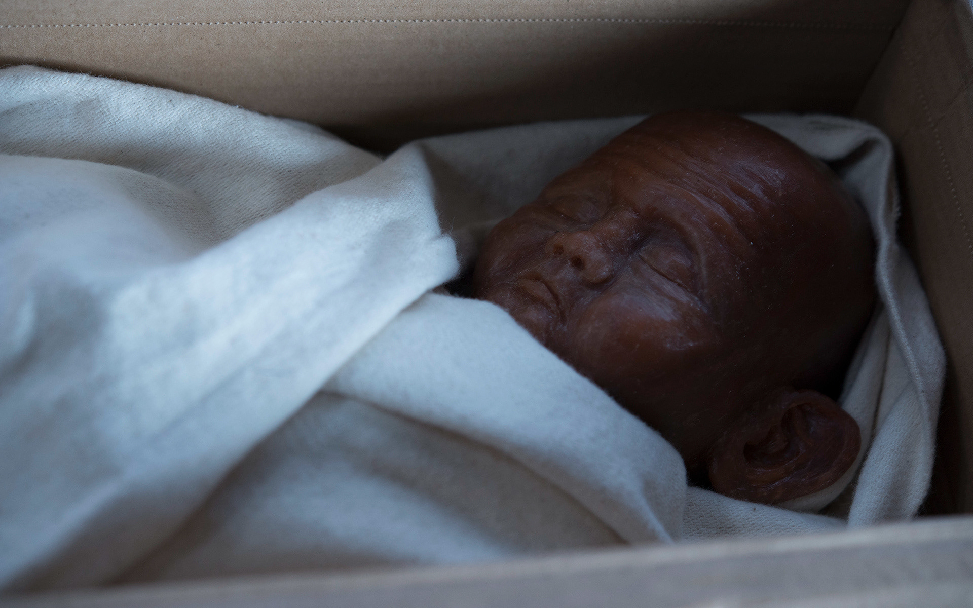 wax sculpture, 15 x 30 cm, Julia Heijligers