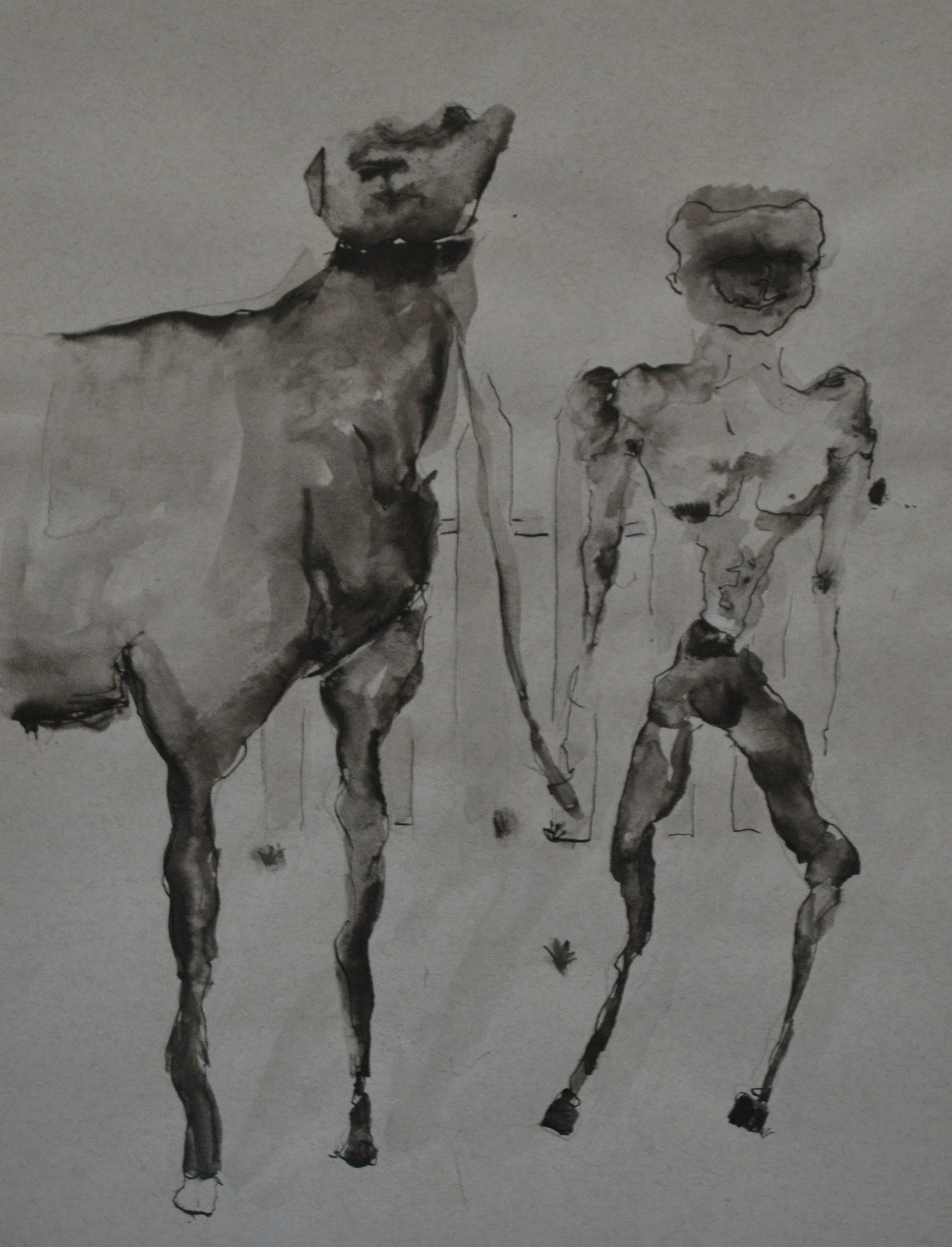 Walking the horse
