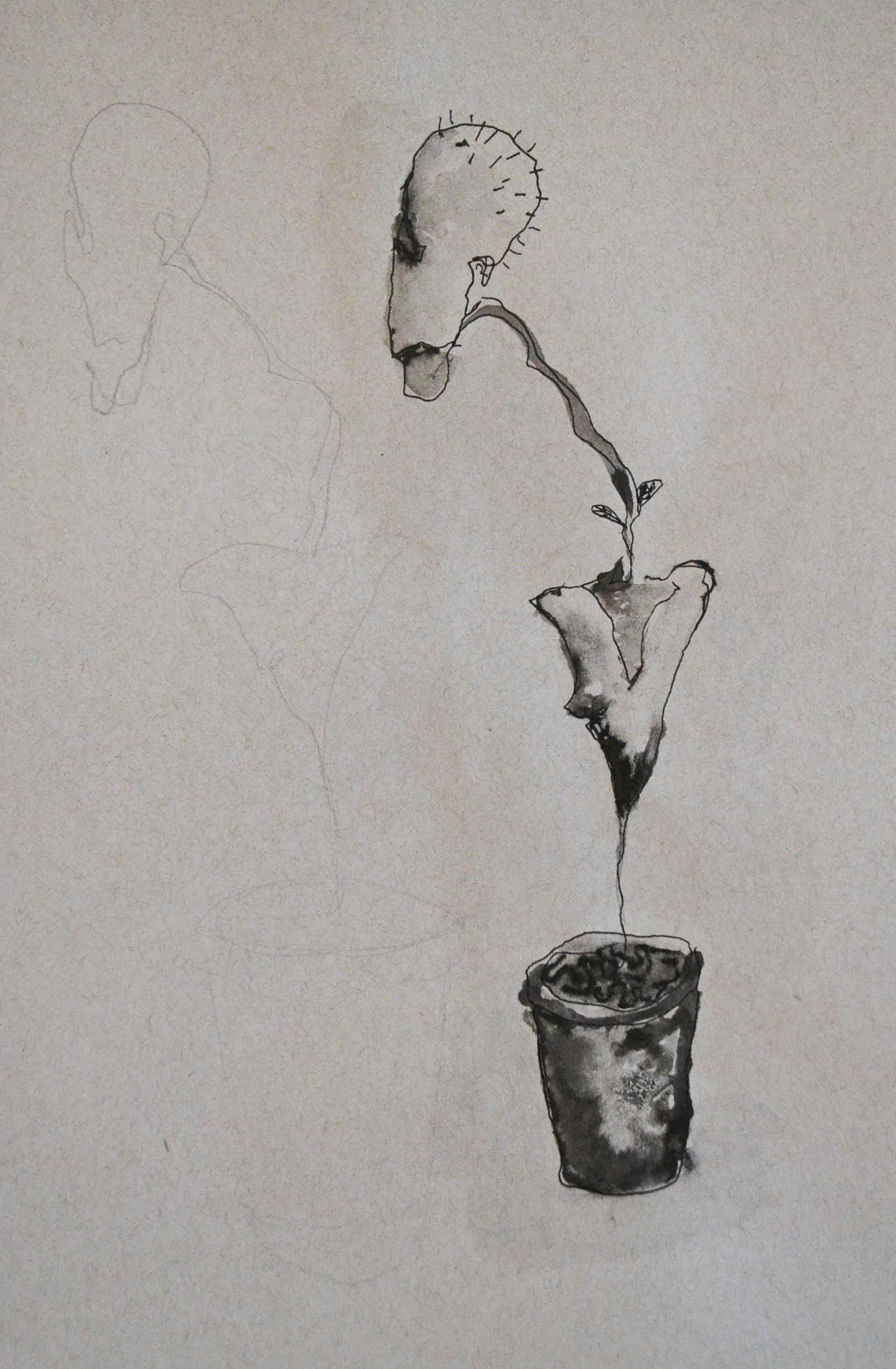 Plantman, inkt op papier, 2019