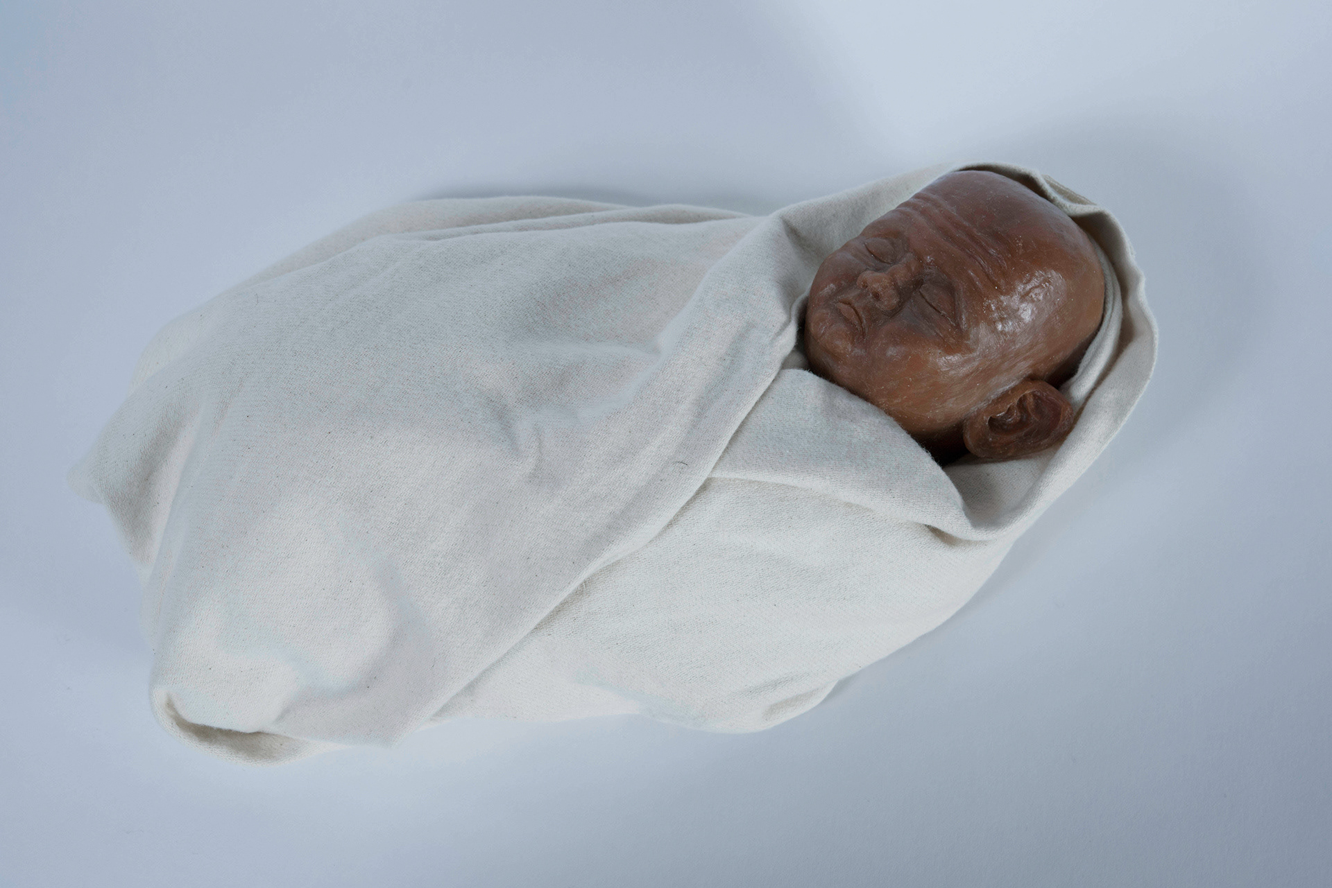 wax sculpture, 15 x 30 cm, Julia Heijligers