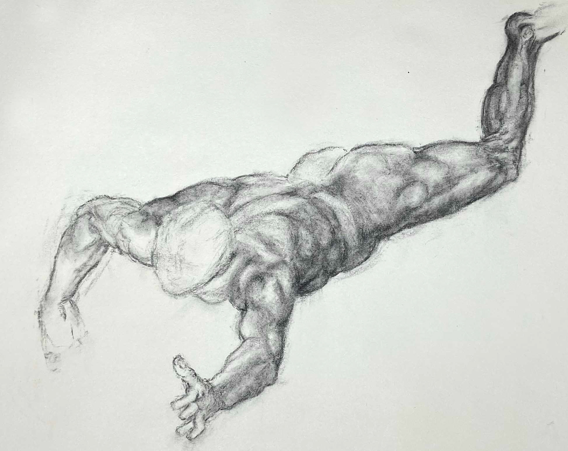 Studie naar Michelangelo, houtskool op papier, 2025