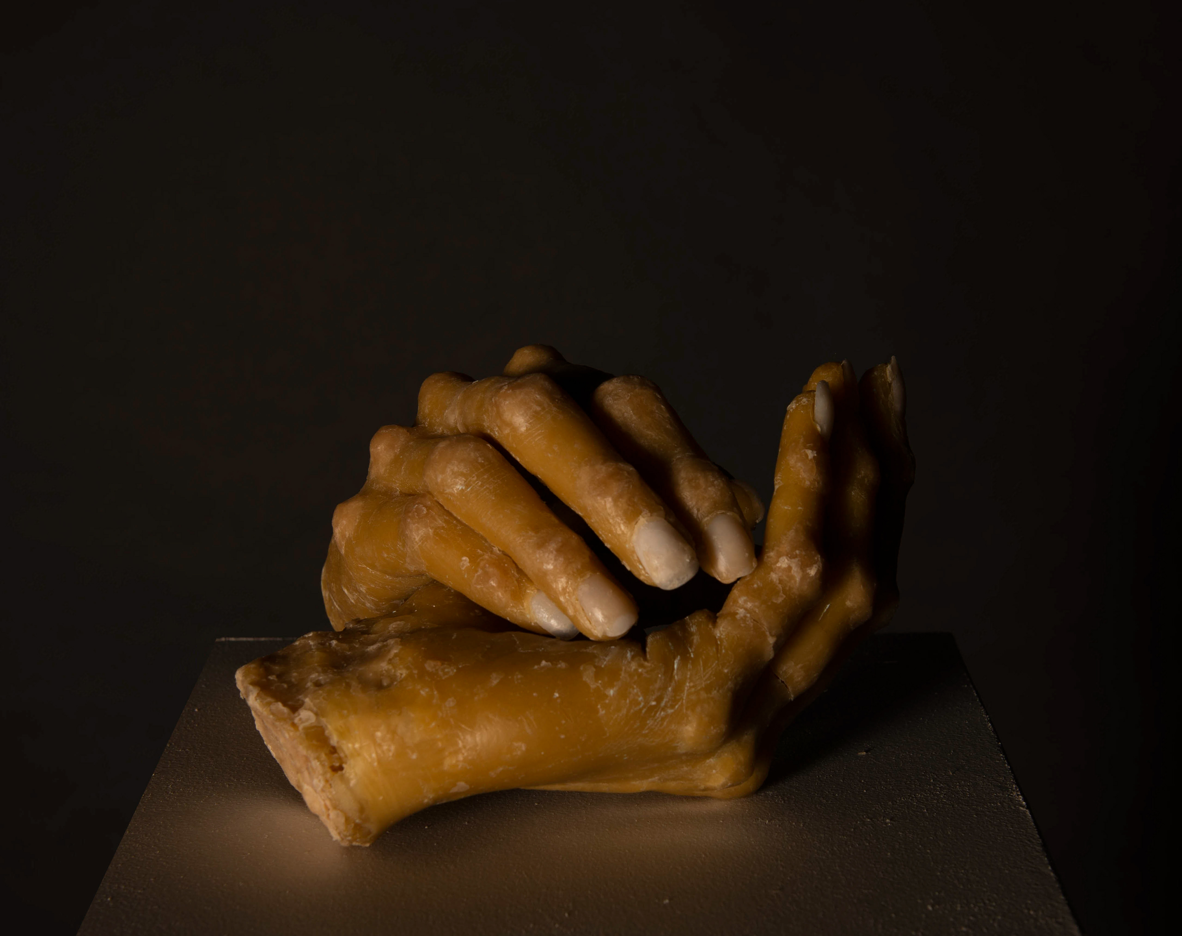 Detail, wax sculpture, Julia Heijligers
