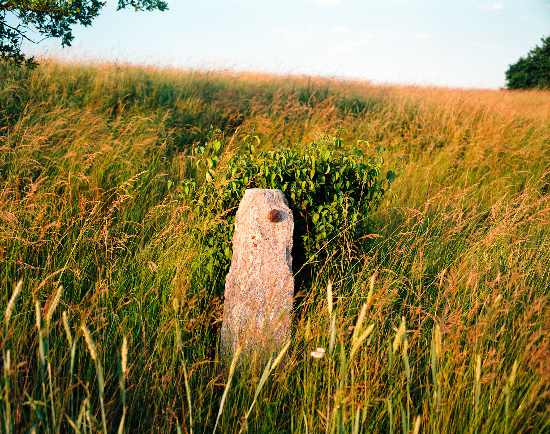 Ektar 100