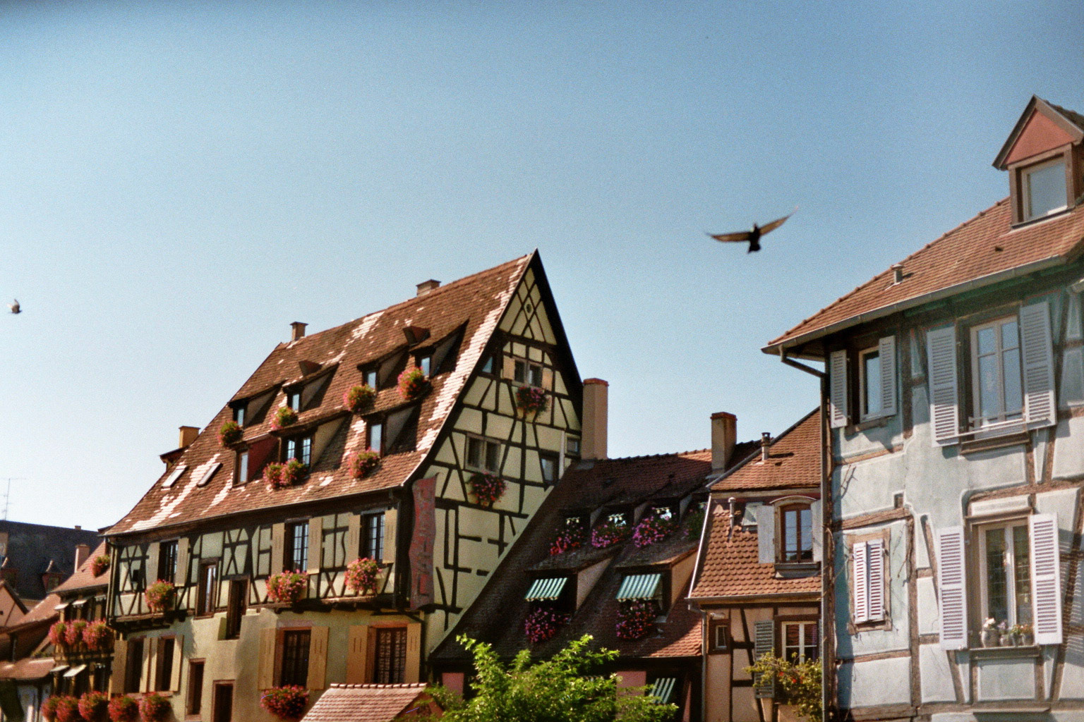 Colmar, 2022