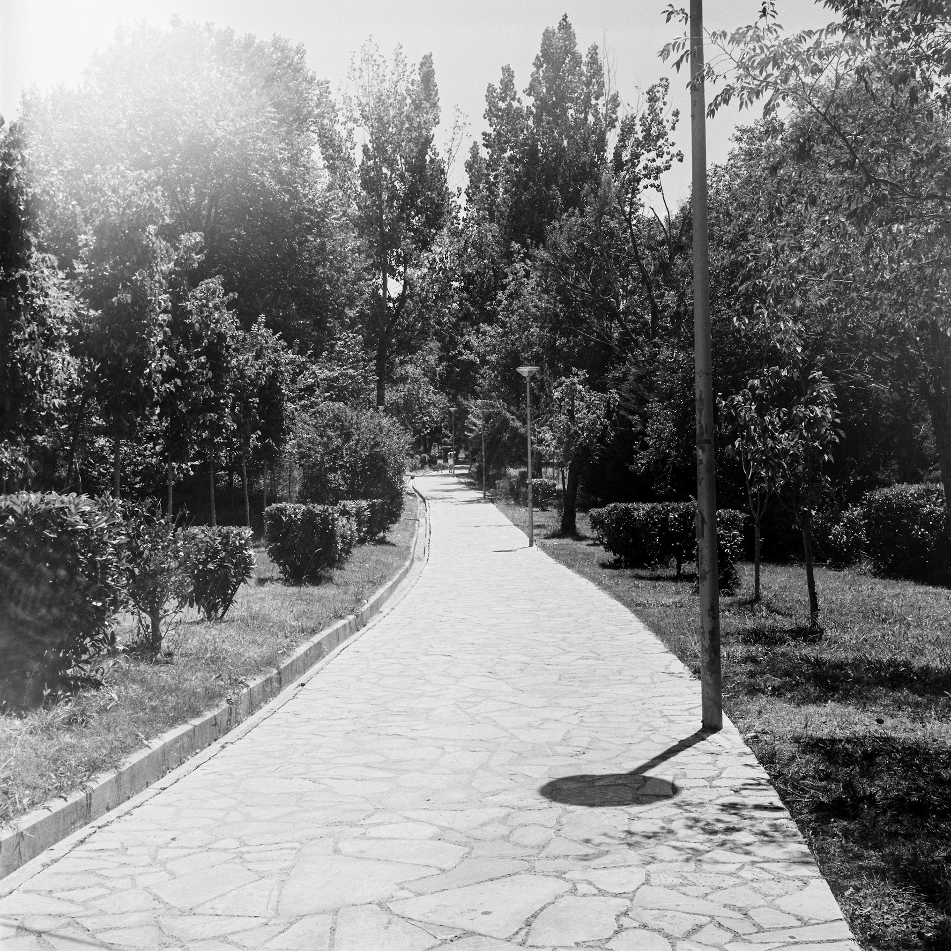 ЛОМО T-22 75mm F4.5, Tirana 2025
