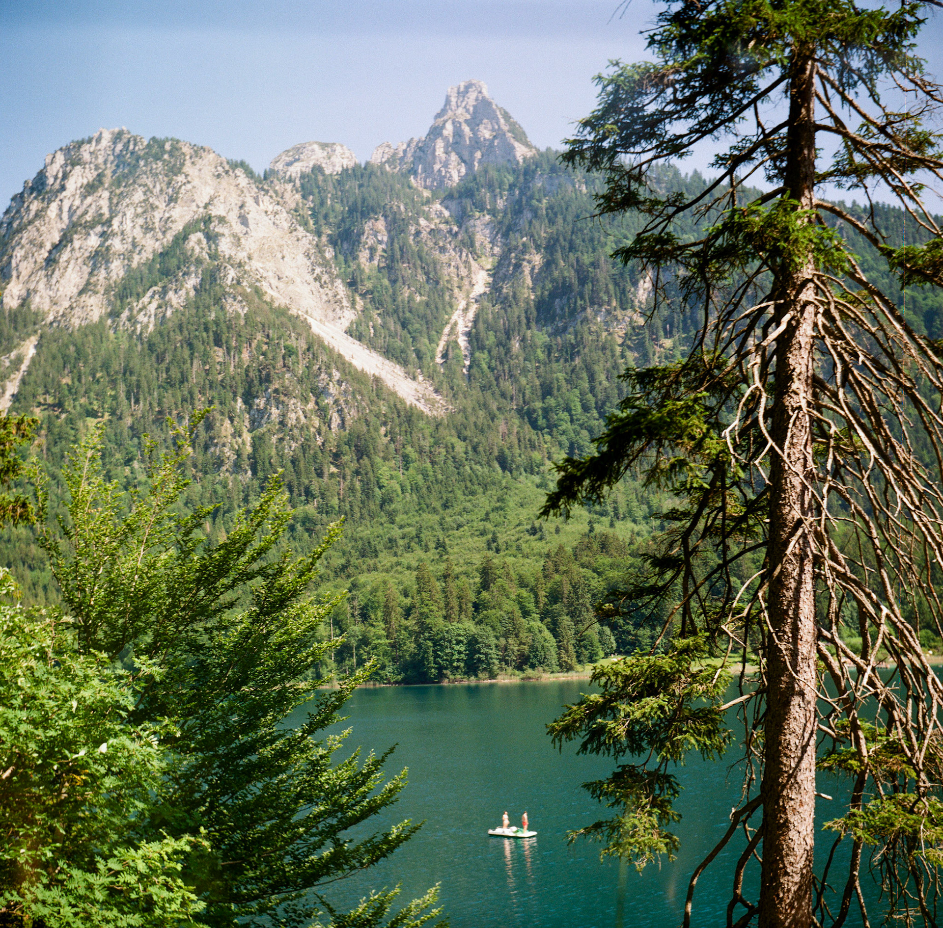 ЛОМО T-22 75mm F4.5, Alpsee 2025