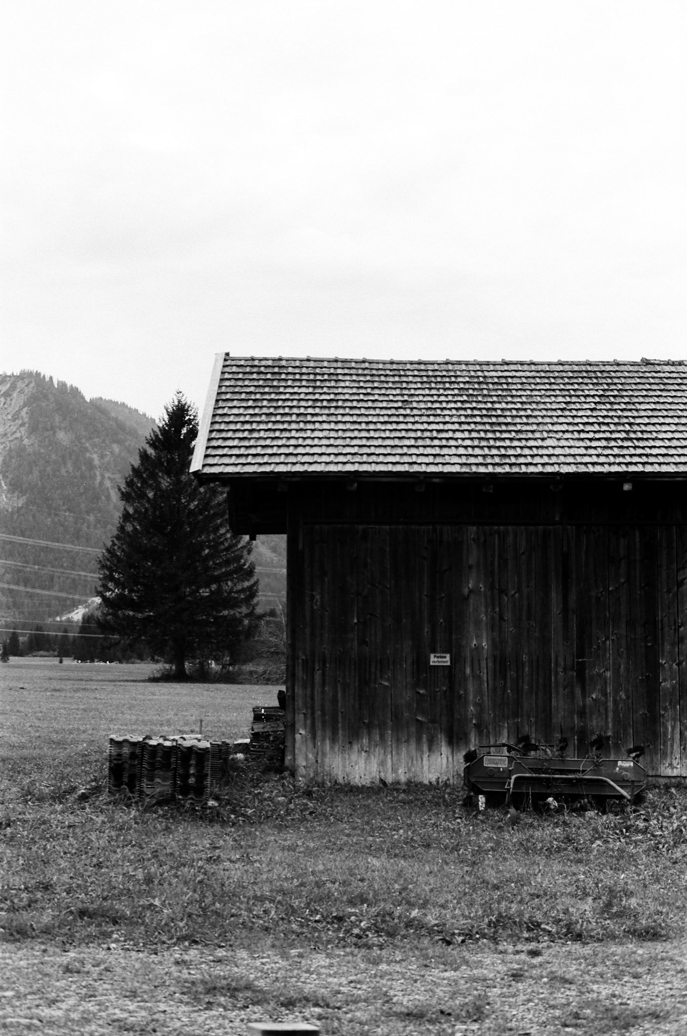 Heiterwanger See, 2024