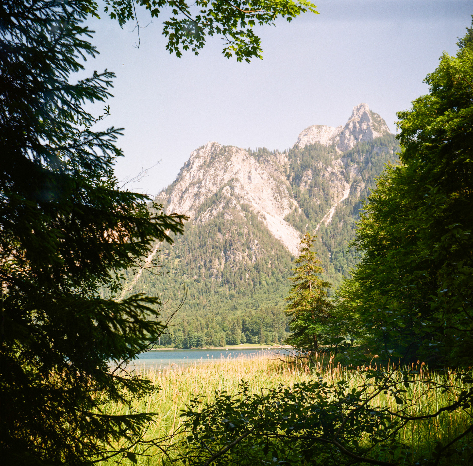ЛОМО T-22 75mm F4.5, Alpsee 2025