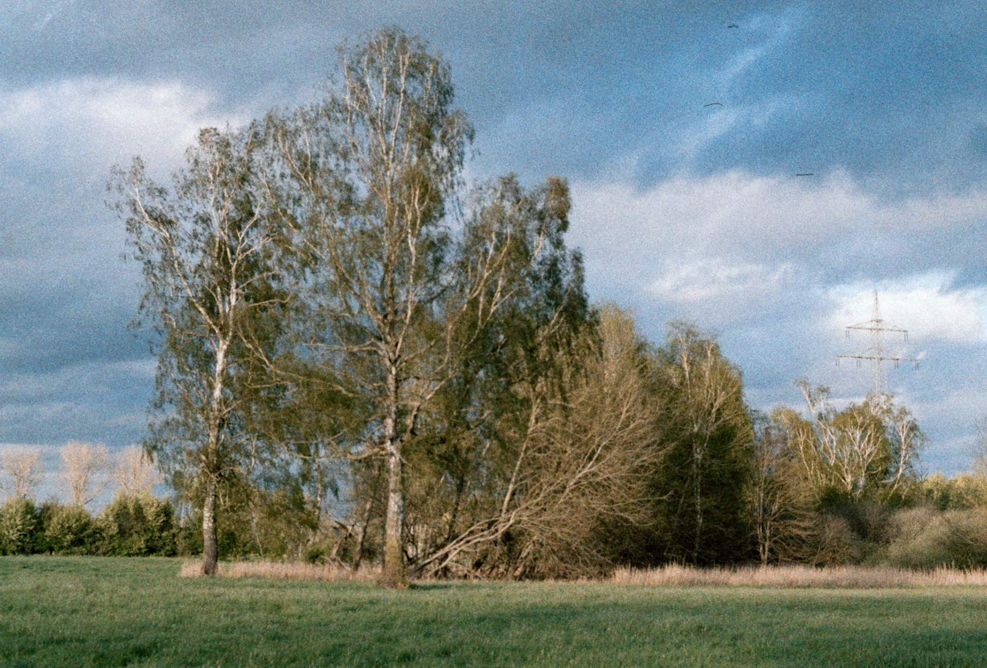 Langenau, 2024