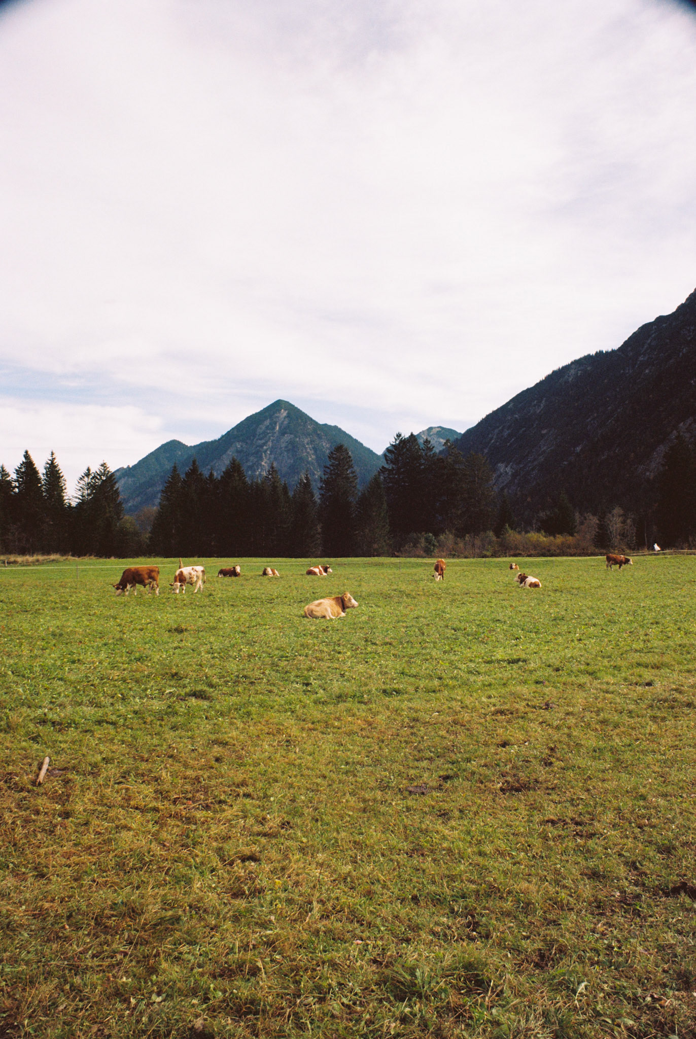 Heiterwanger See, 2024