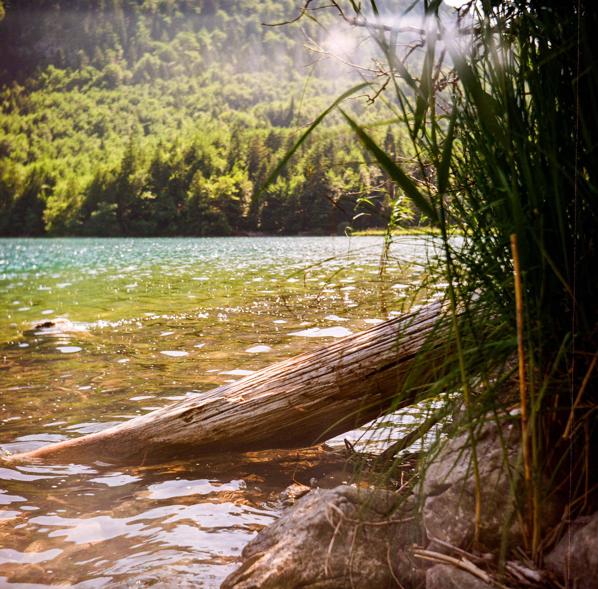 ЛОМО T-22 75mm F4.5, Alpsee 2025
