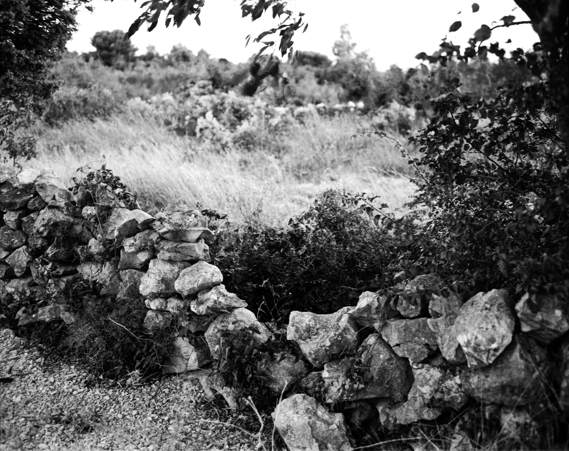 FP4+