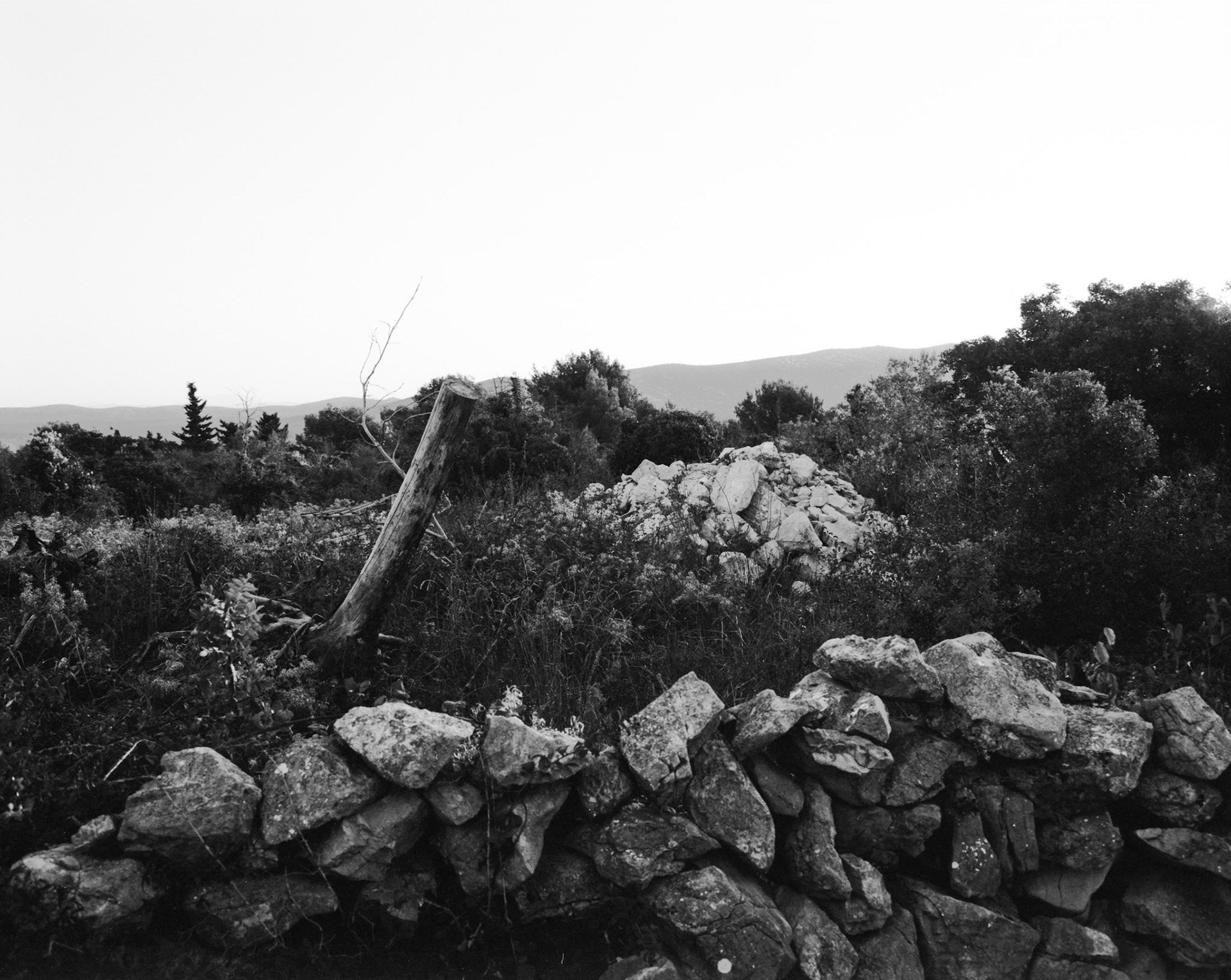 FP4+