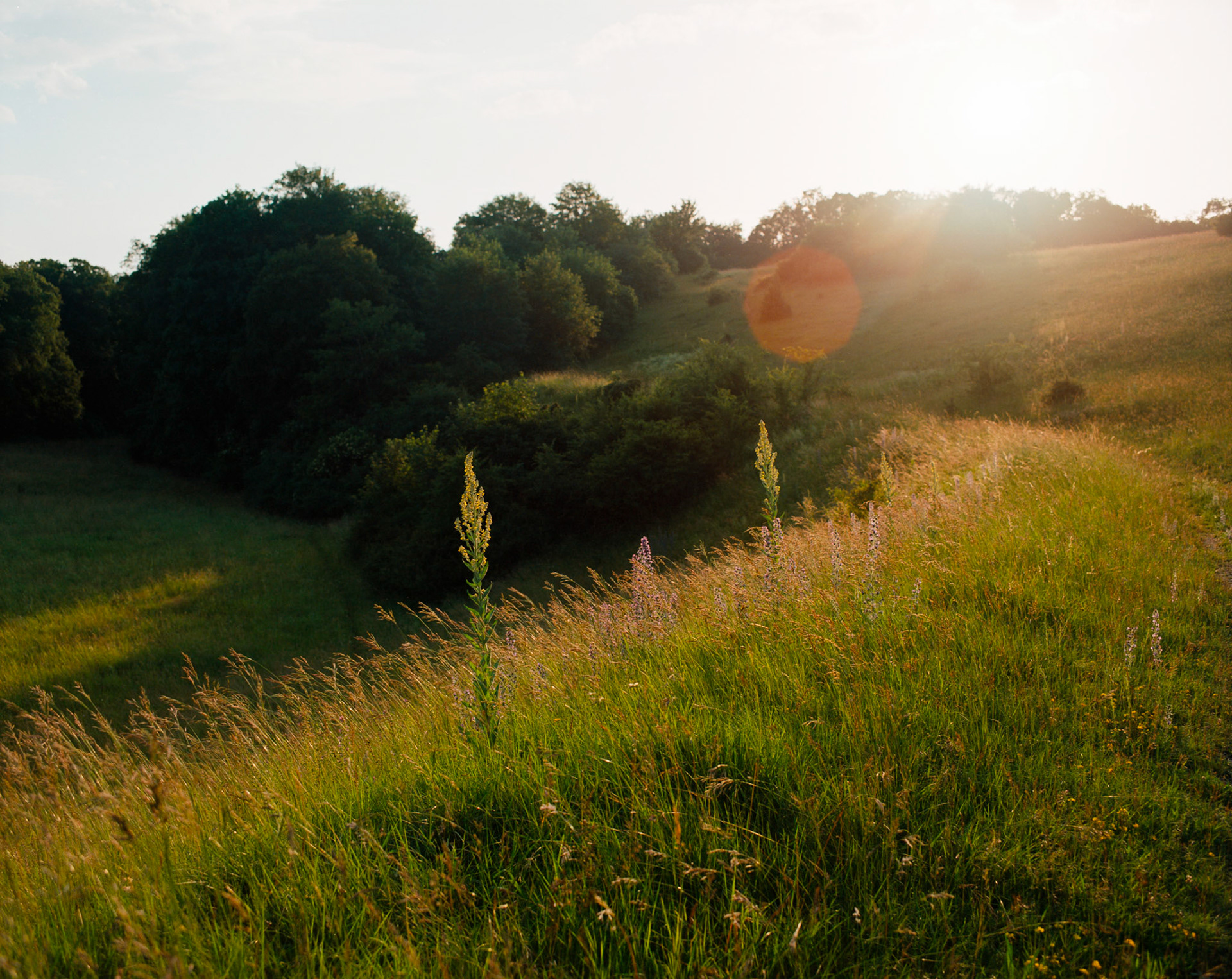 Ektar 100
