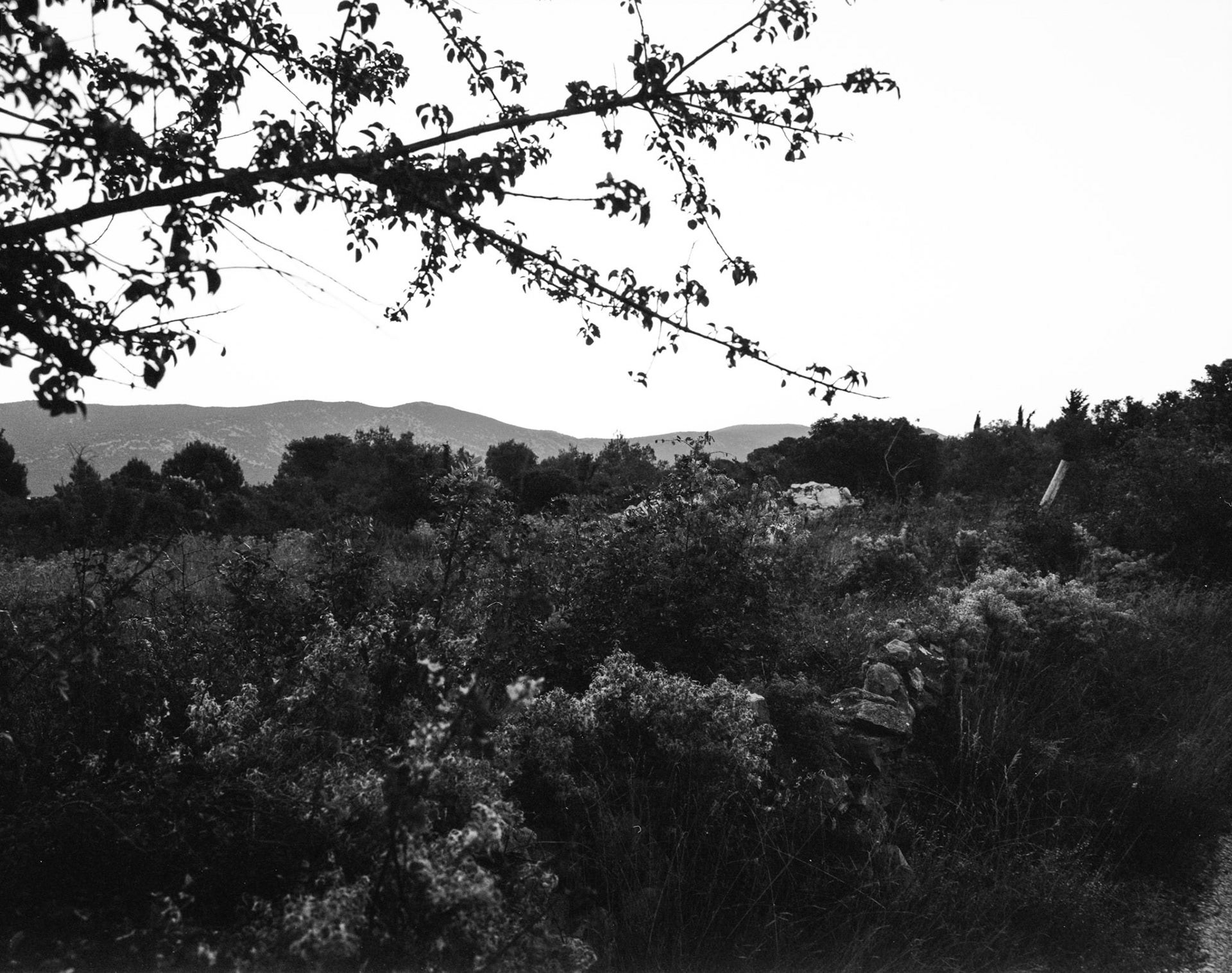 FP4+